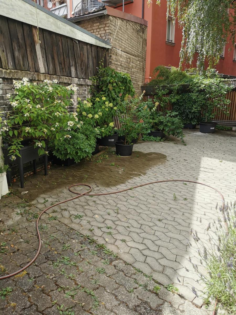 Homestay Nürnberg