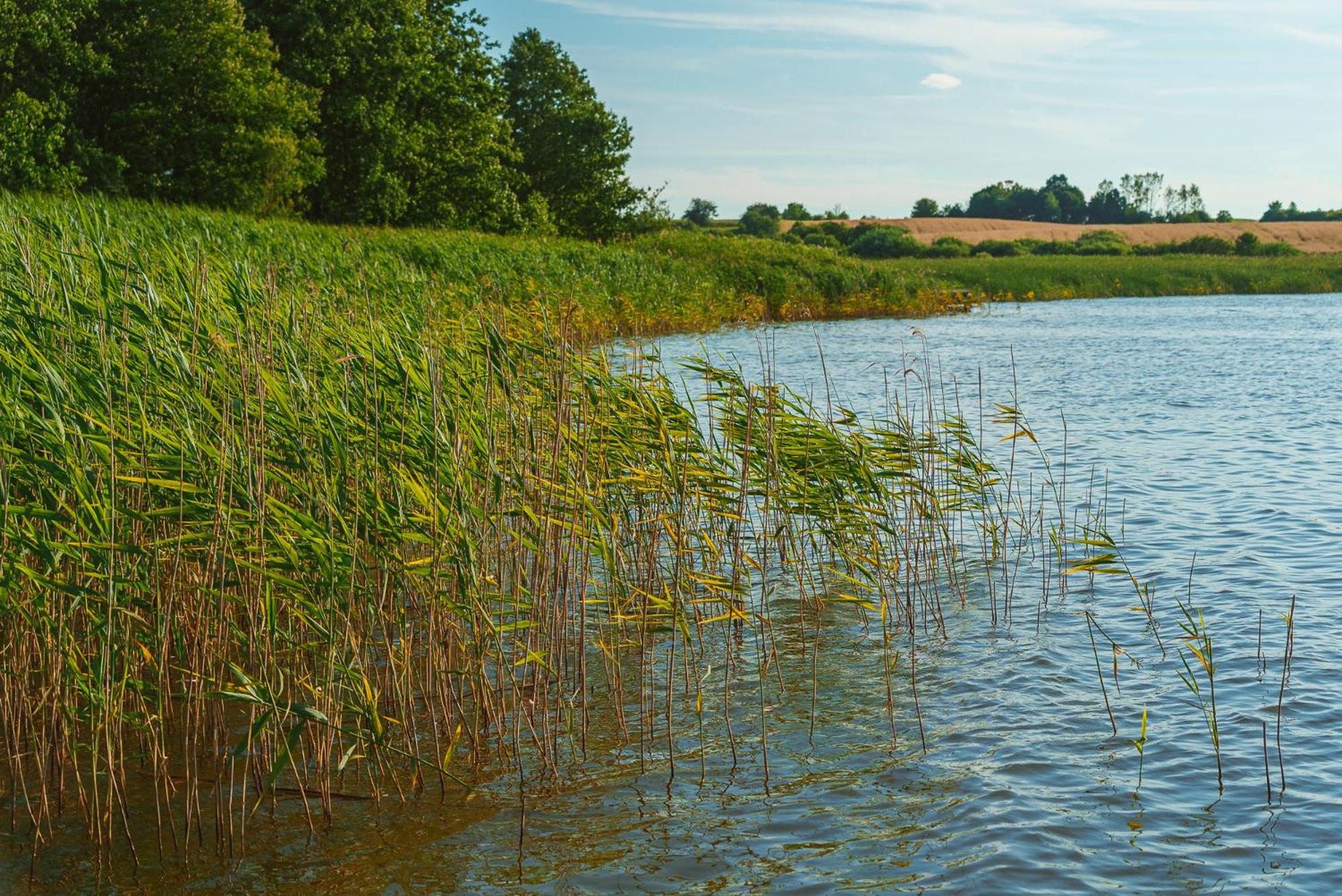 Przystań Jeziorany - pokoje nad jeziorem