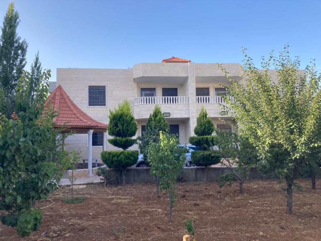 German-Palestinian Appartement