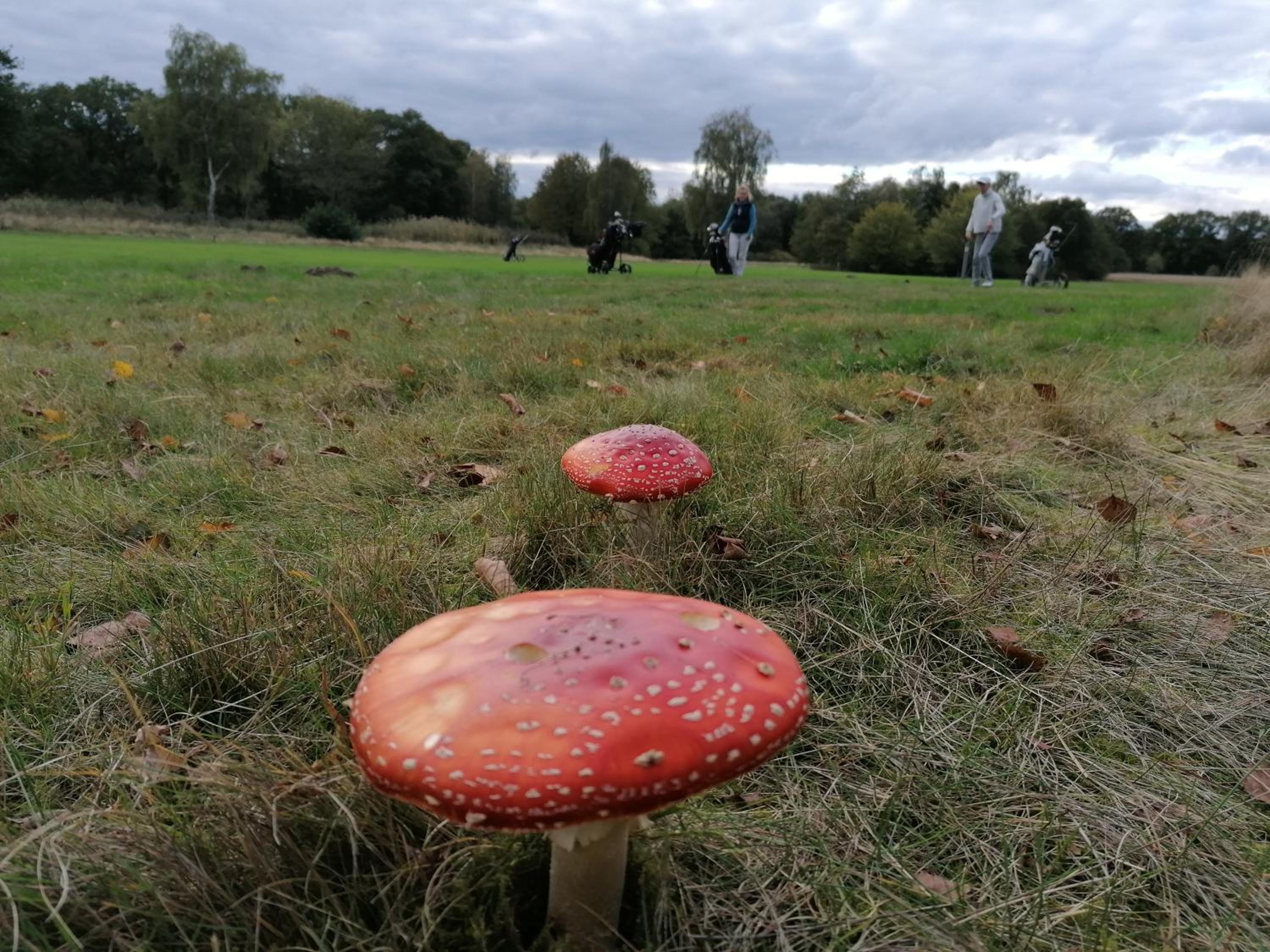 Beletage Duvenstedt