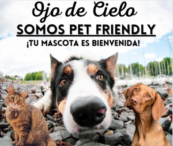 Cabañas Ojo de Cielo