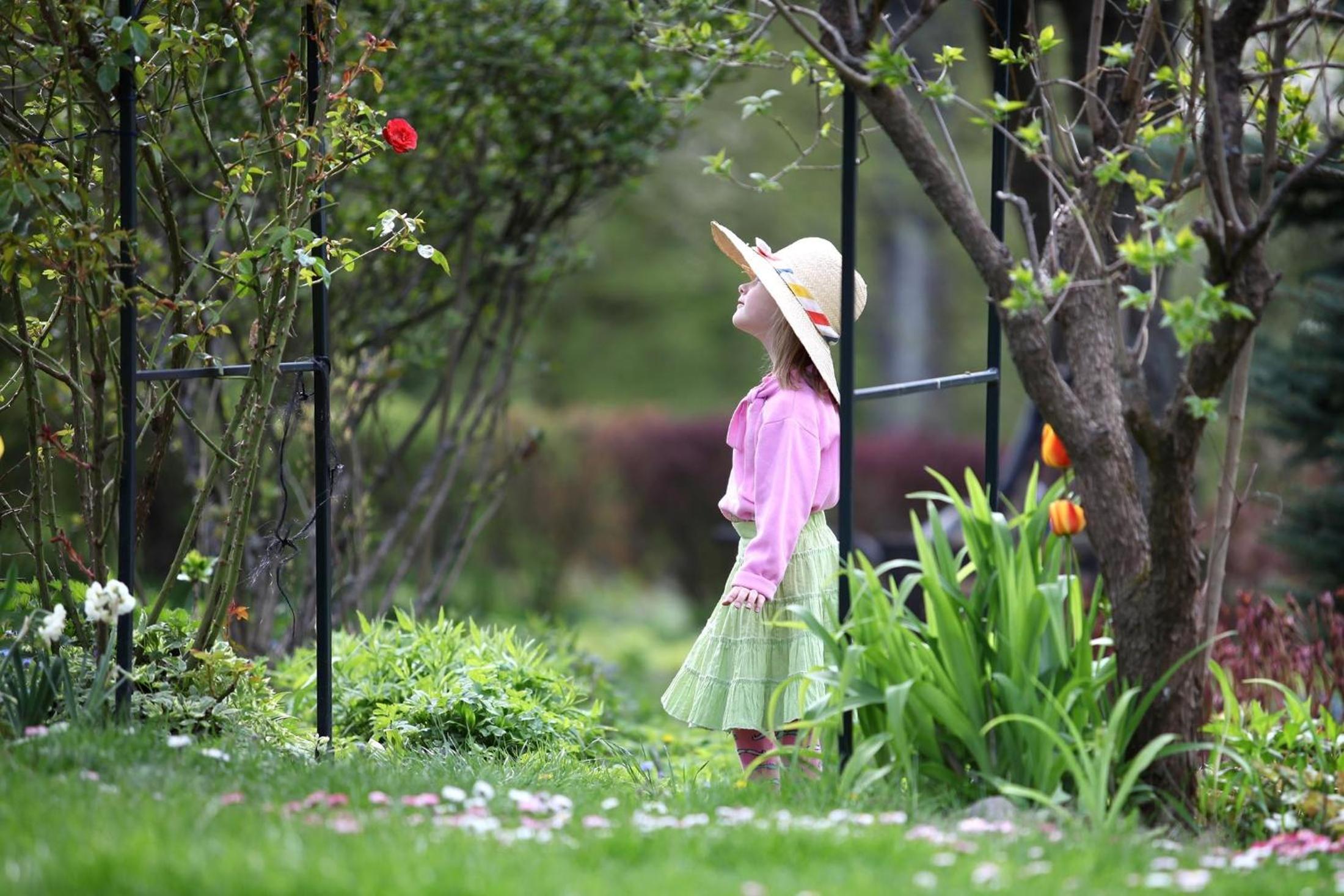 Photo 27