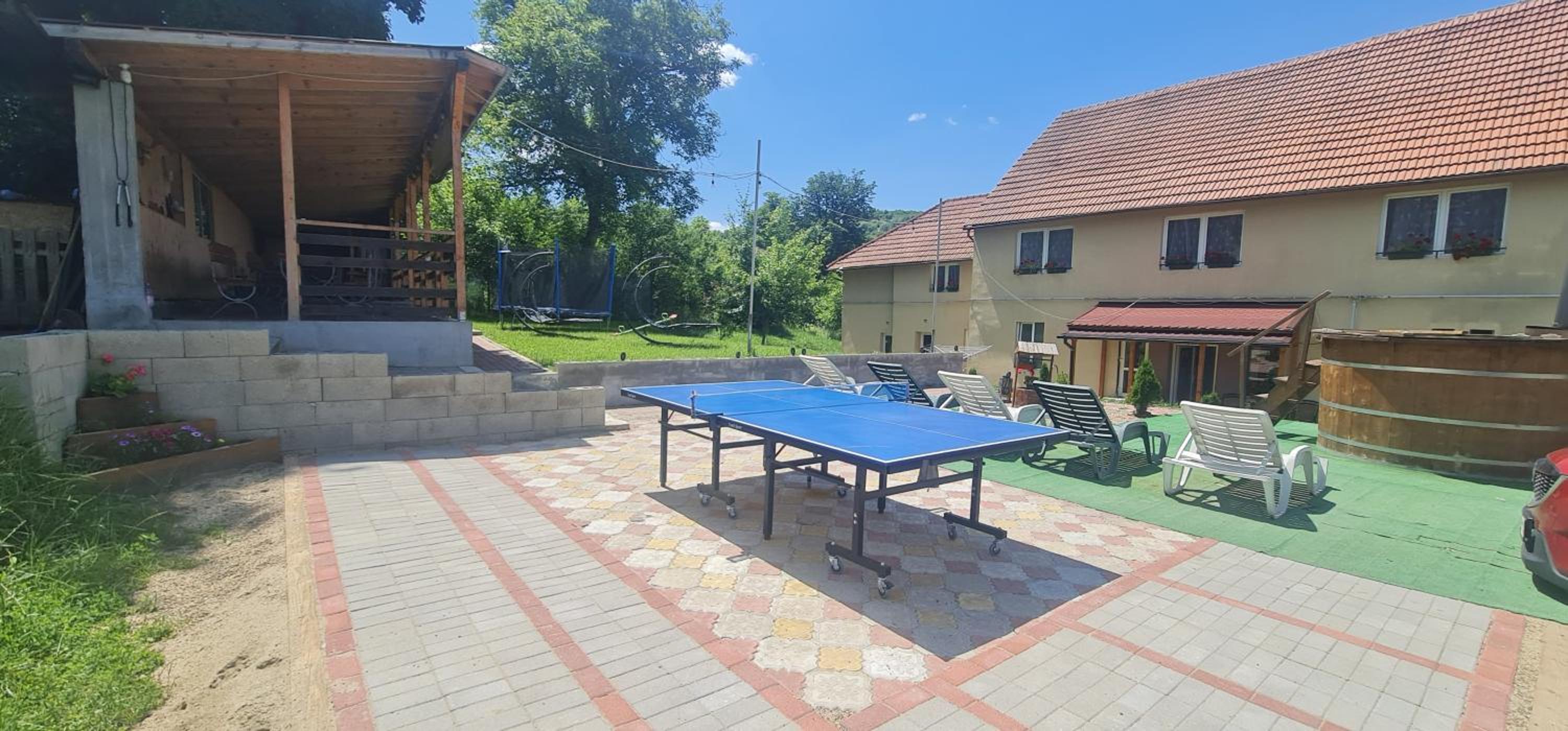 Pensiunea Baron Bazna view 3
