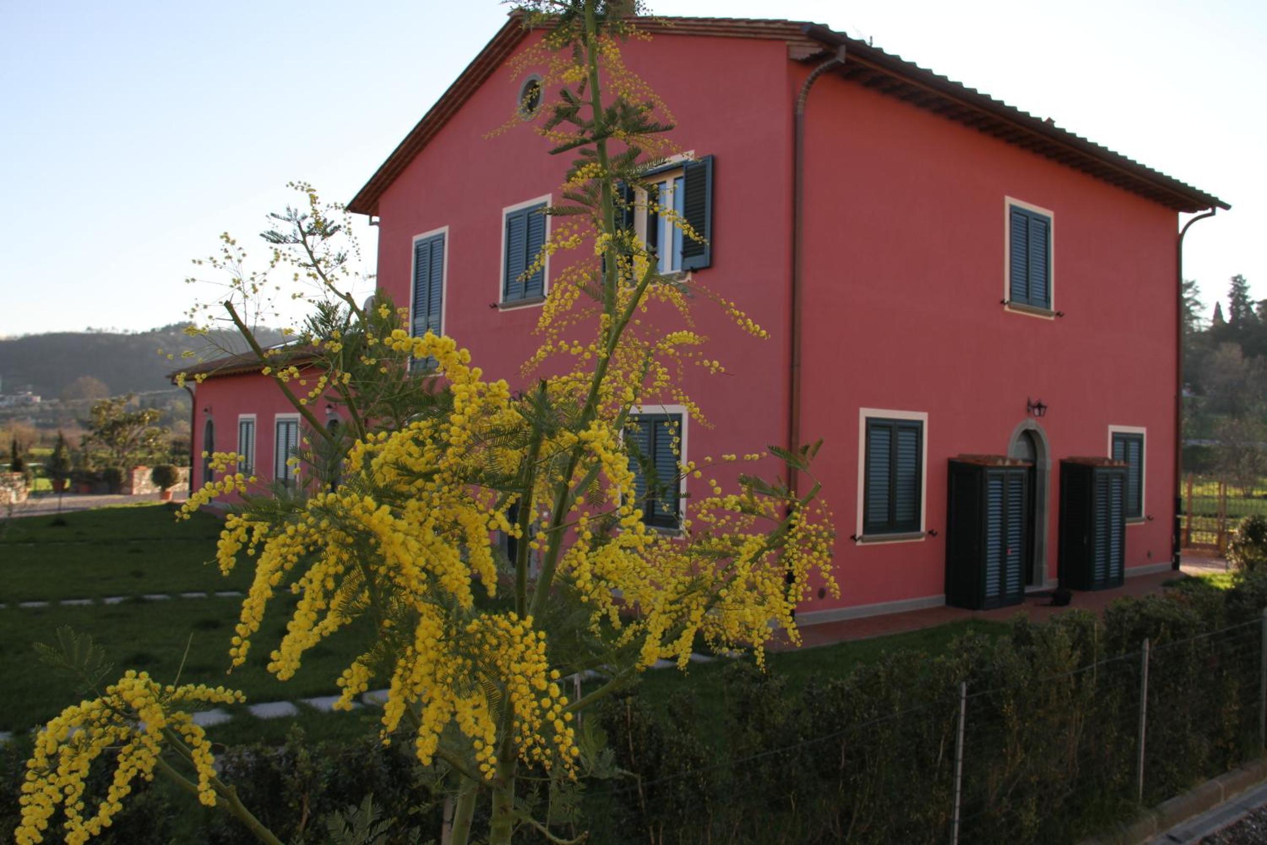 Photo 13