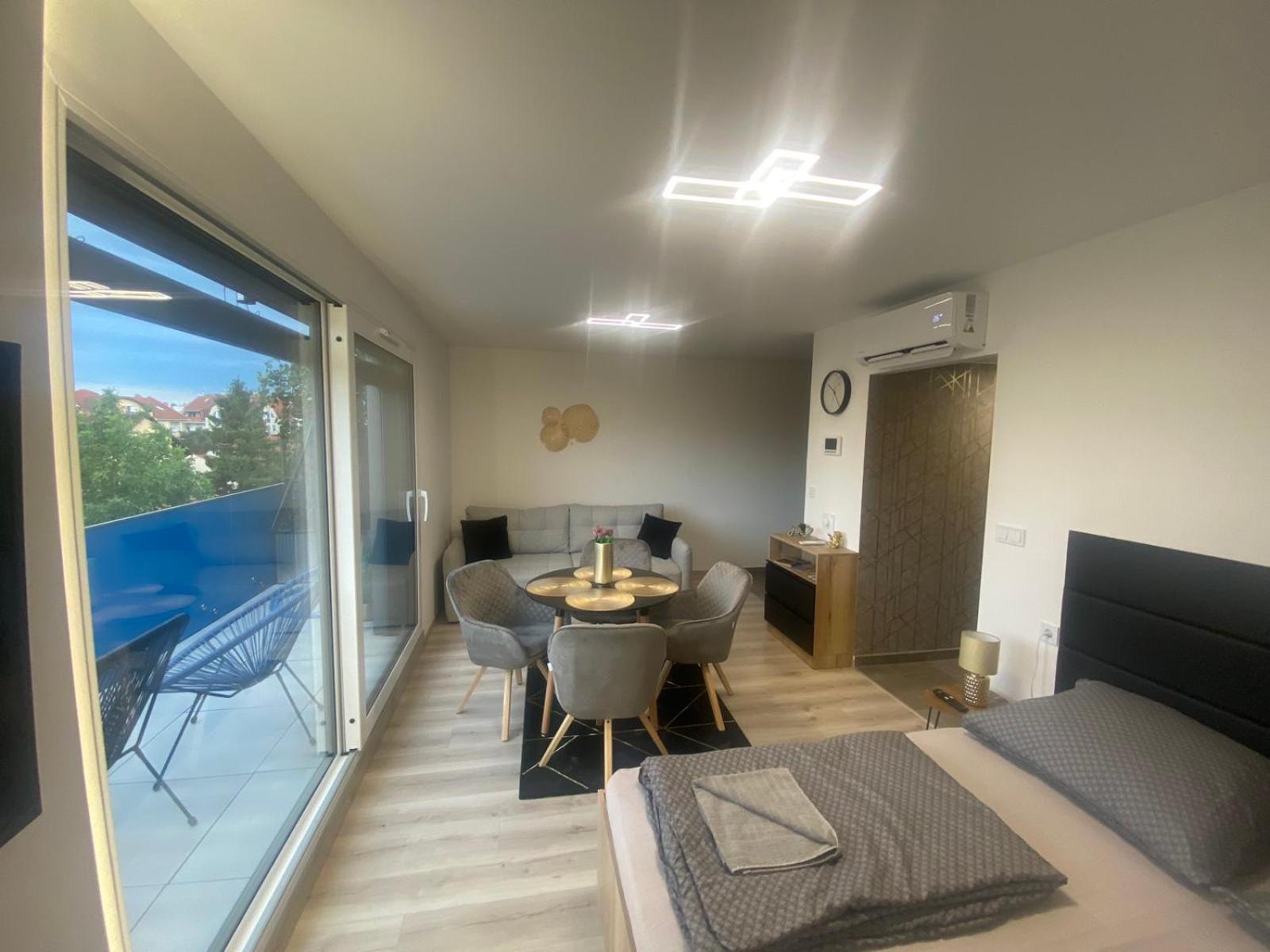 Lake View Penthouse view 5