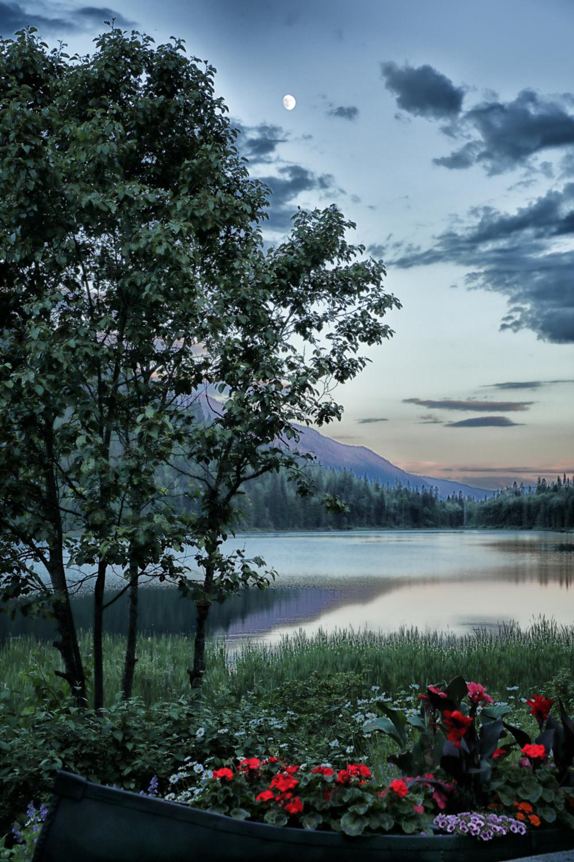 Alpine Meadows Resort