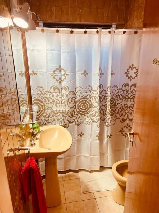 Departamento Zona Aldrey