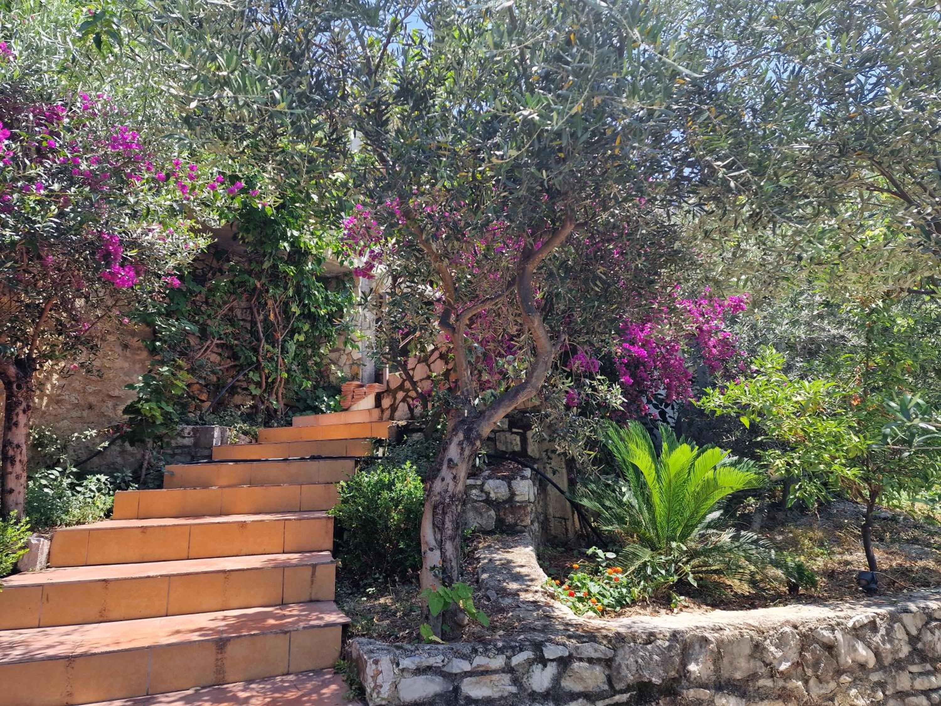 Kailin's home photo 2