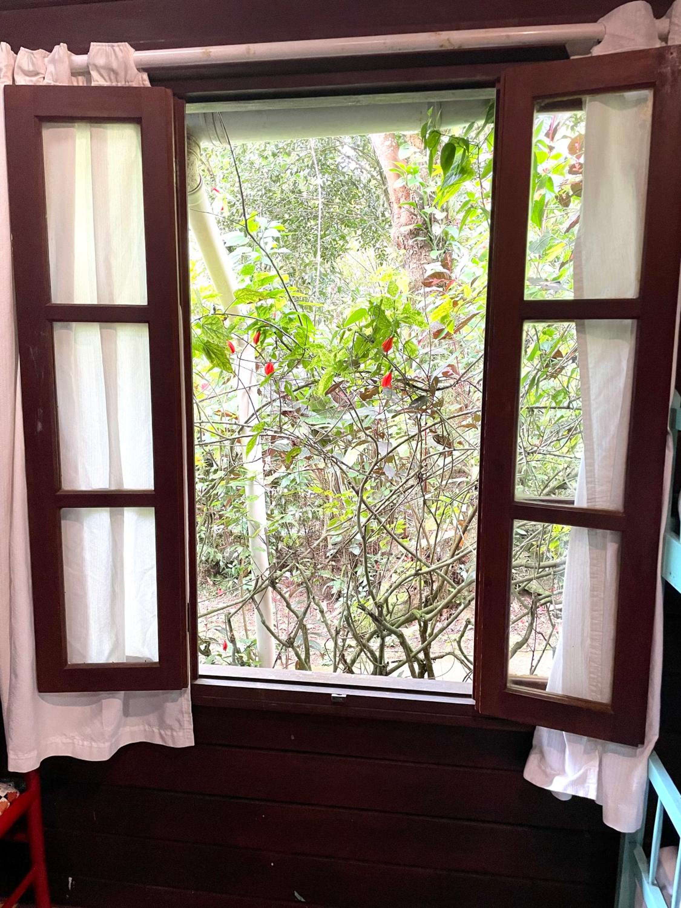 Casa Selva - Vila do Abraão - Ilha grande