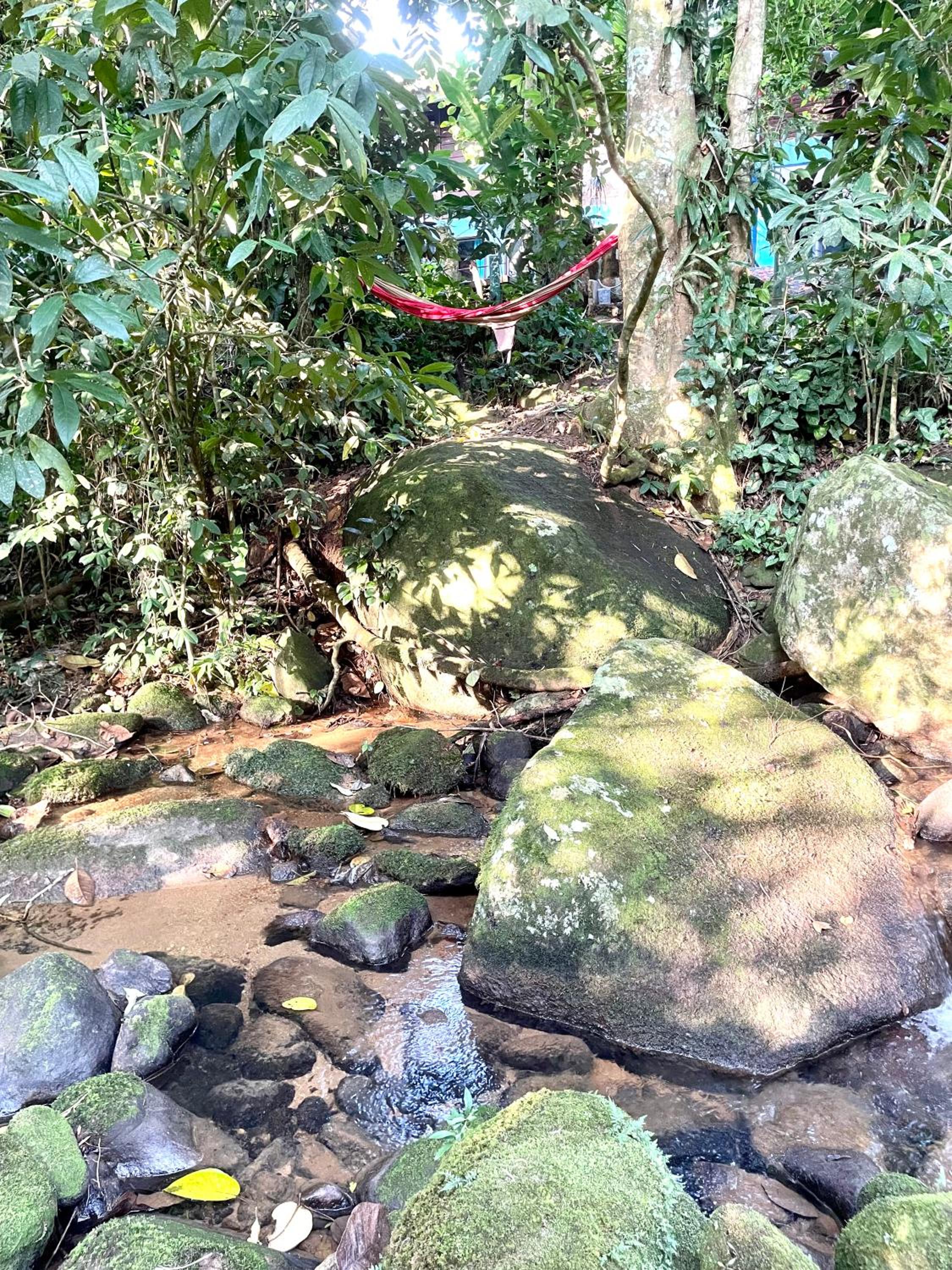 Casa Selva - Vila do Abraão - Ilha grande