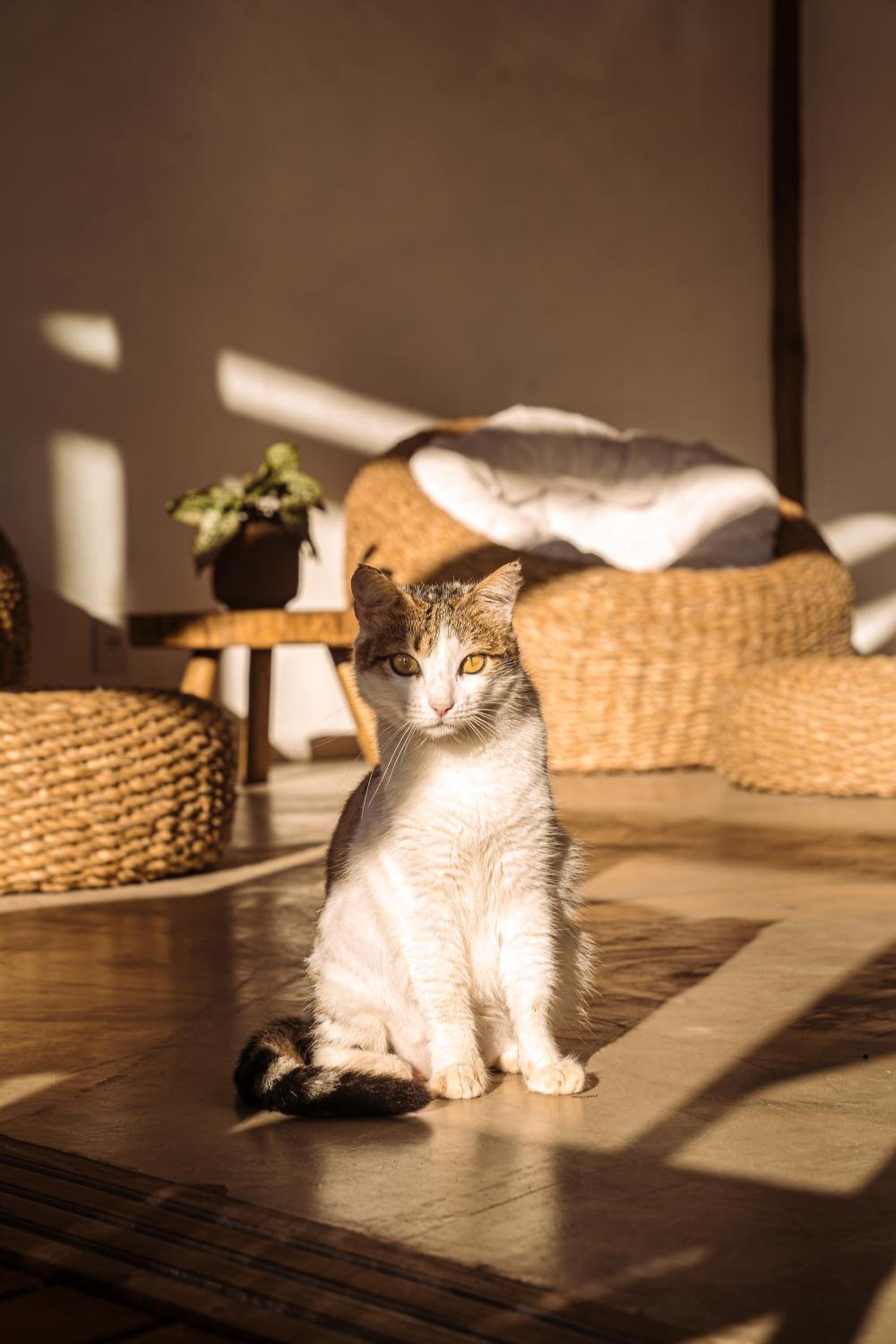 Pousada Nossa Casa Cumuruxatiba