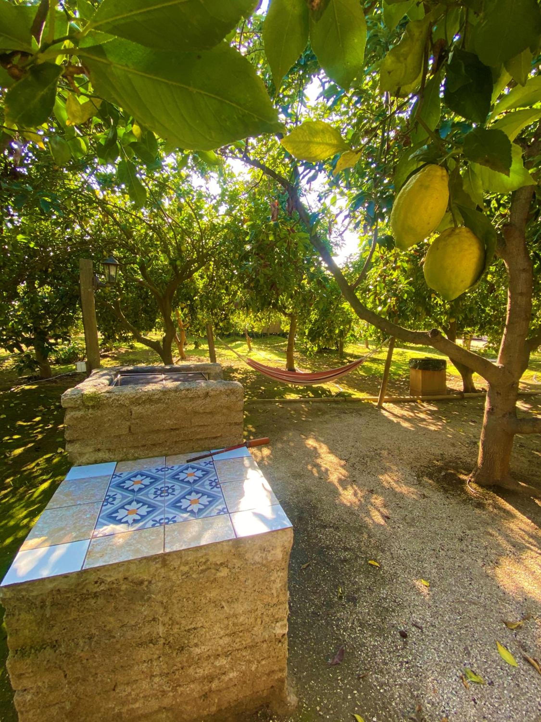 Cabañas SPA Olmue