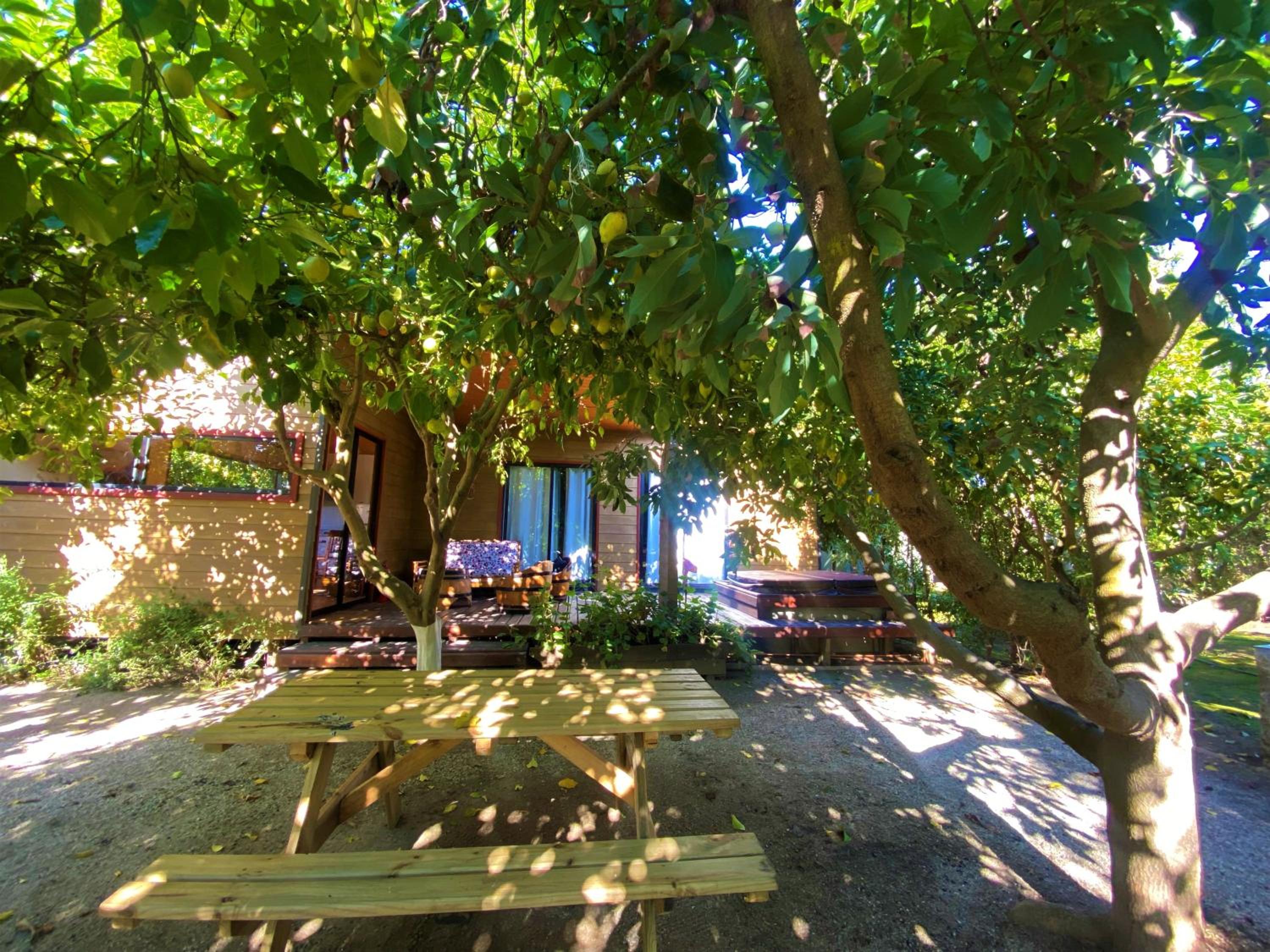 Cabañas SPA Olmue