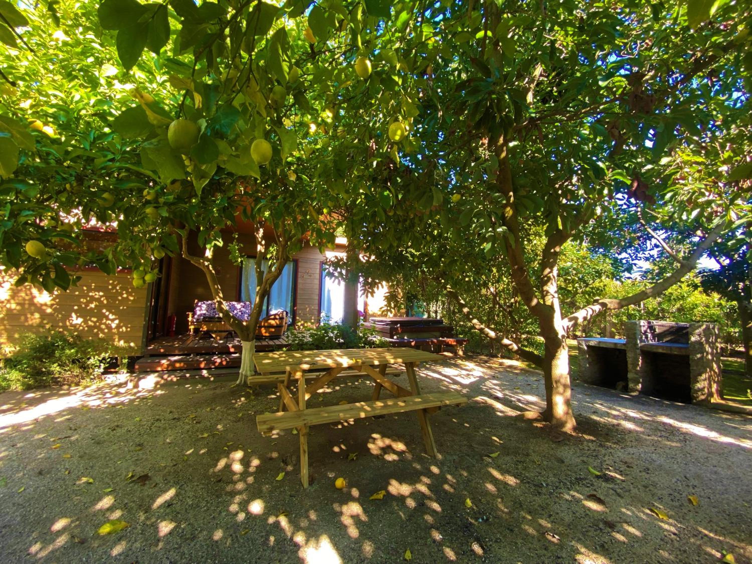 Cabañas SPA Olmue