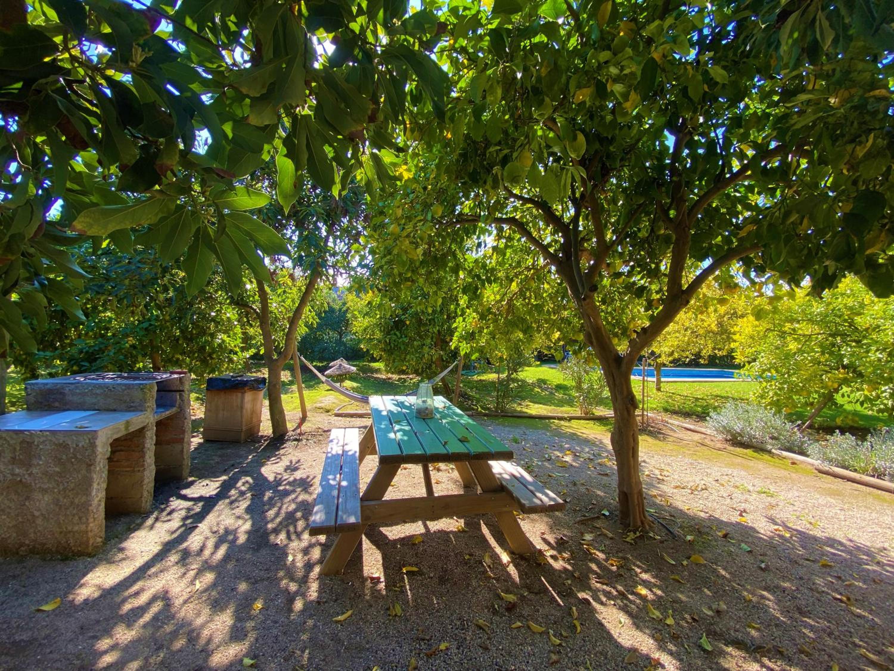 Cabañas SPA Olmue