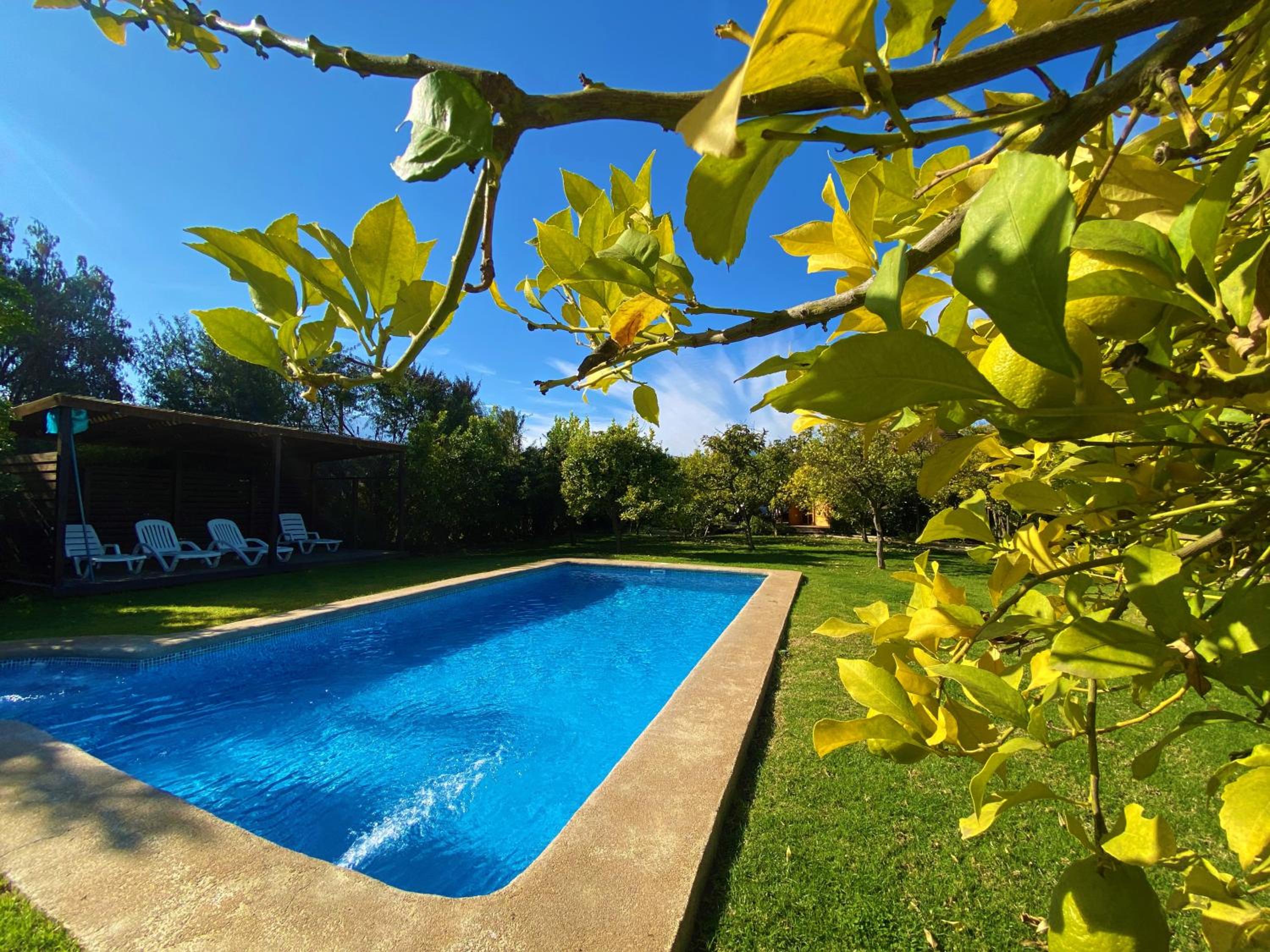 Cabañas SPA Olmue