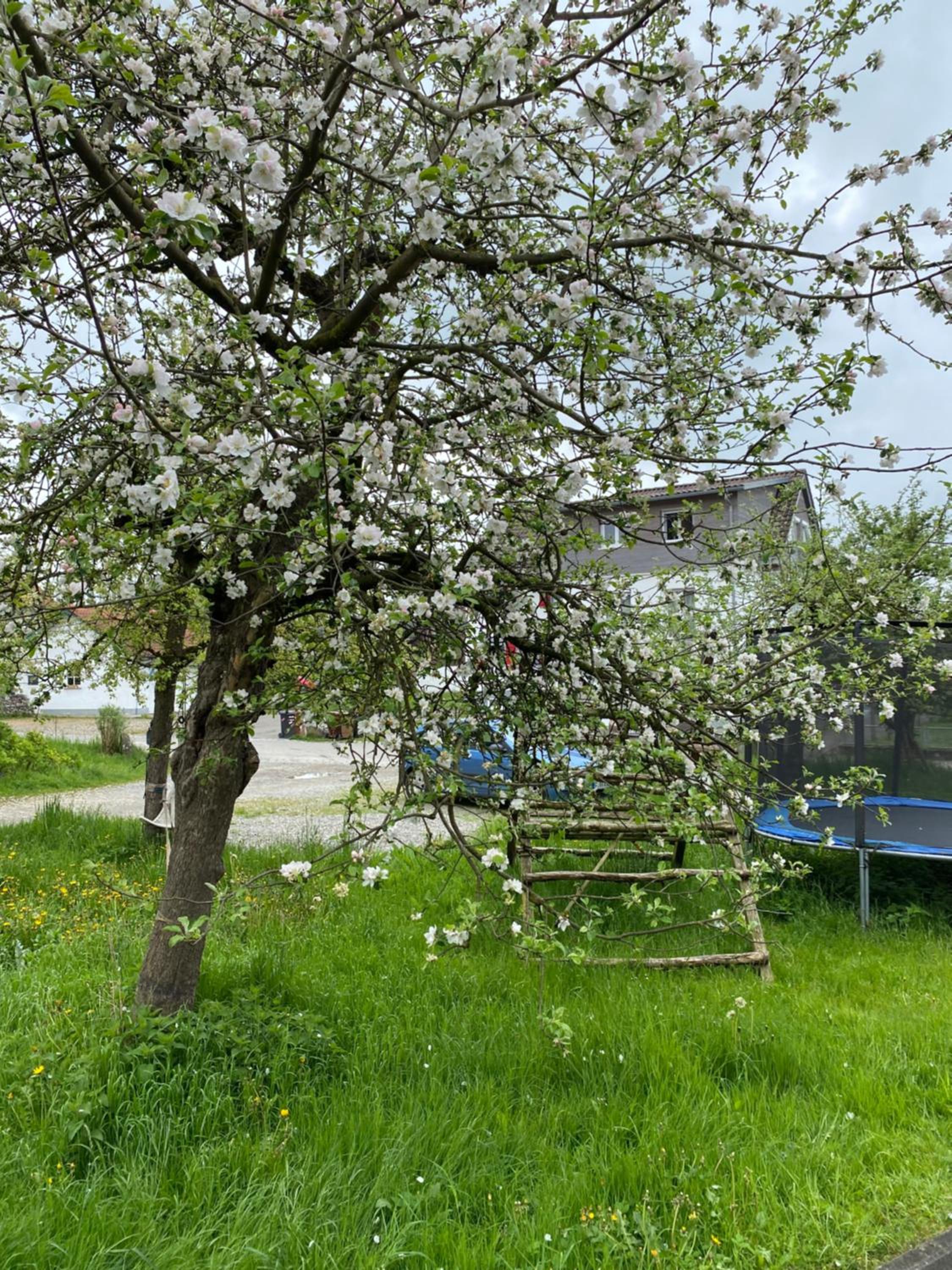 Am Brunnen