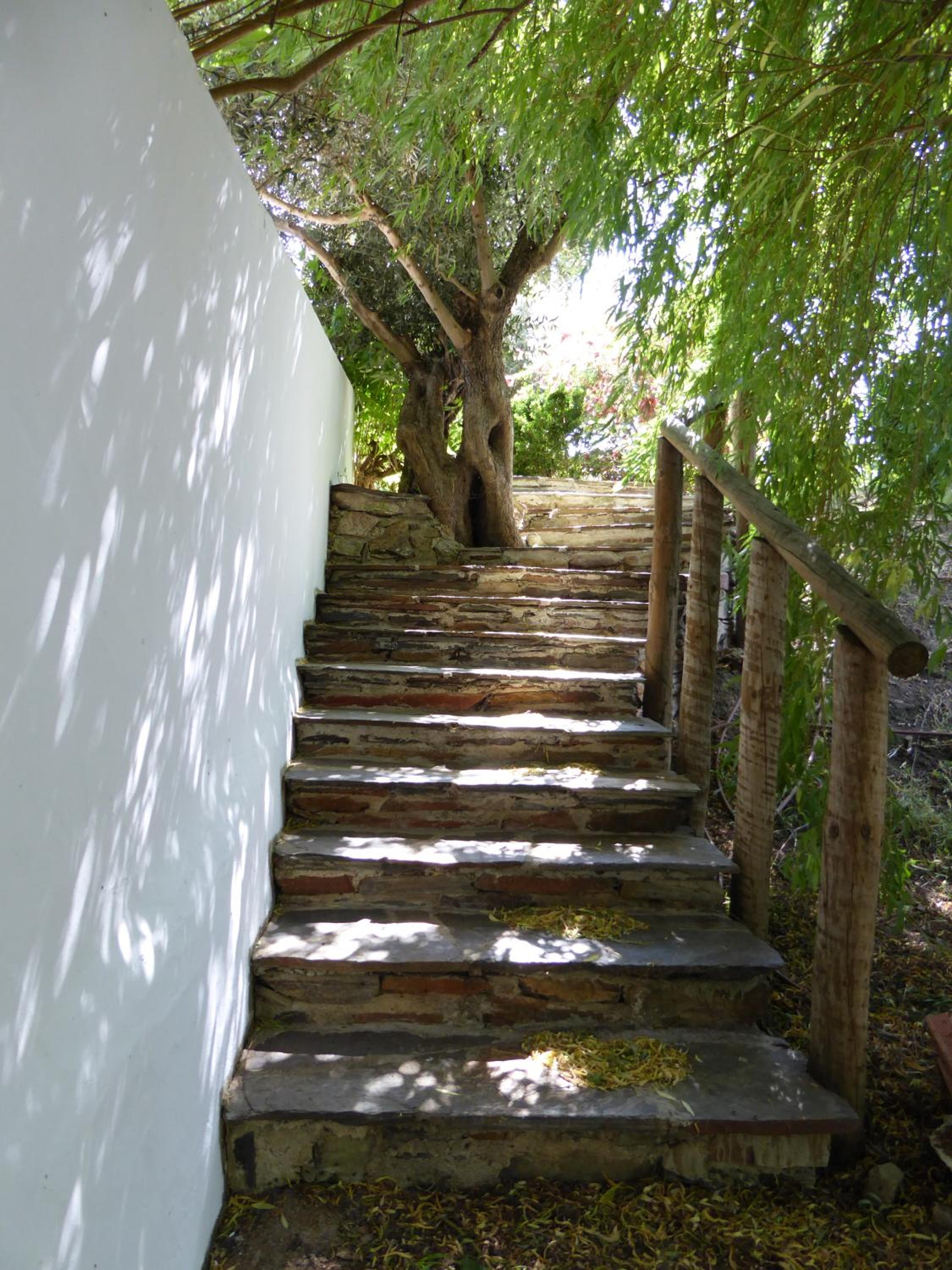 Photo 31