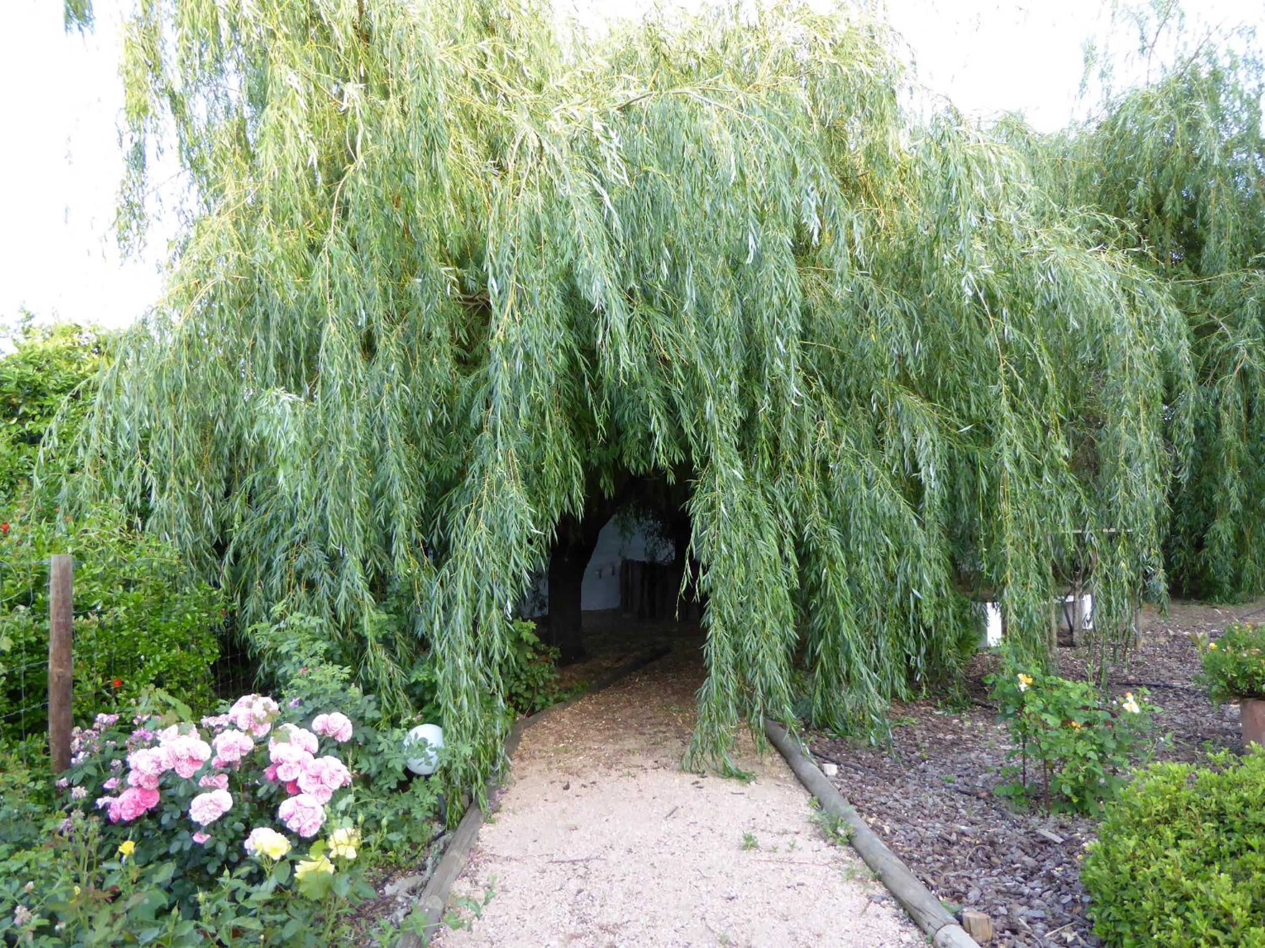 Photo 26
