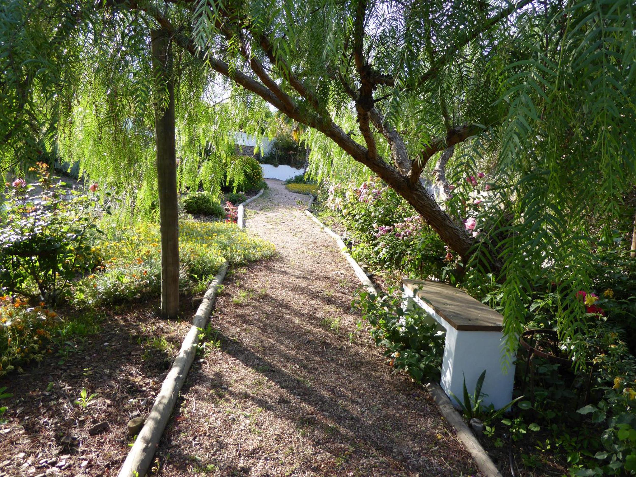 Photo 27