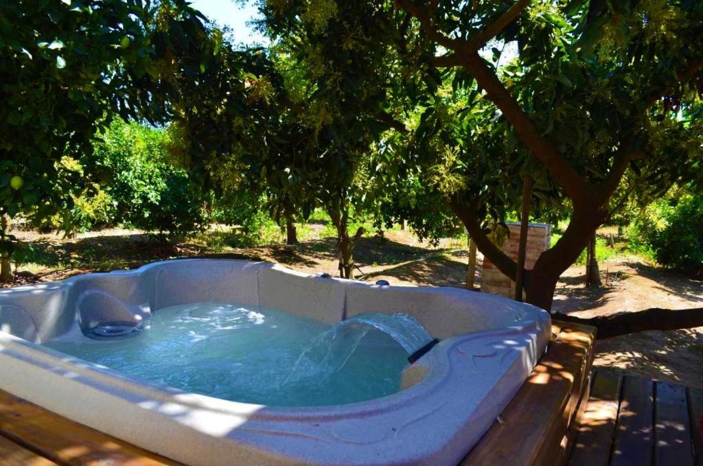 Cabañas SPA Olmue