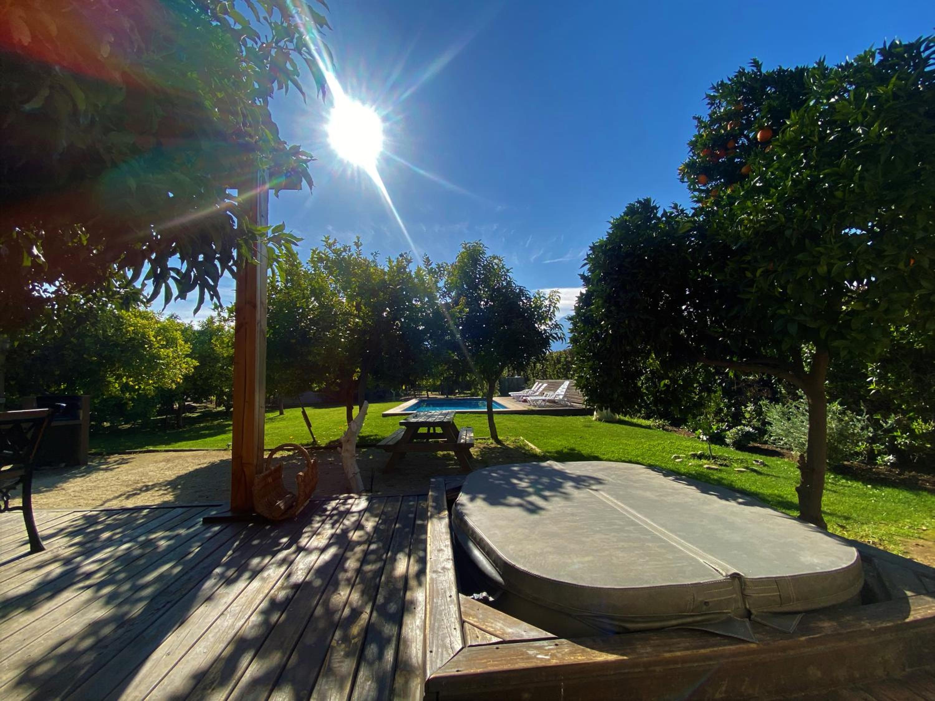 Photo 41