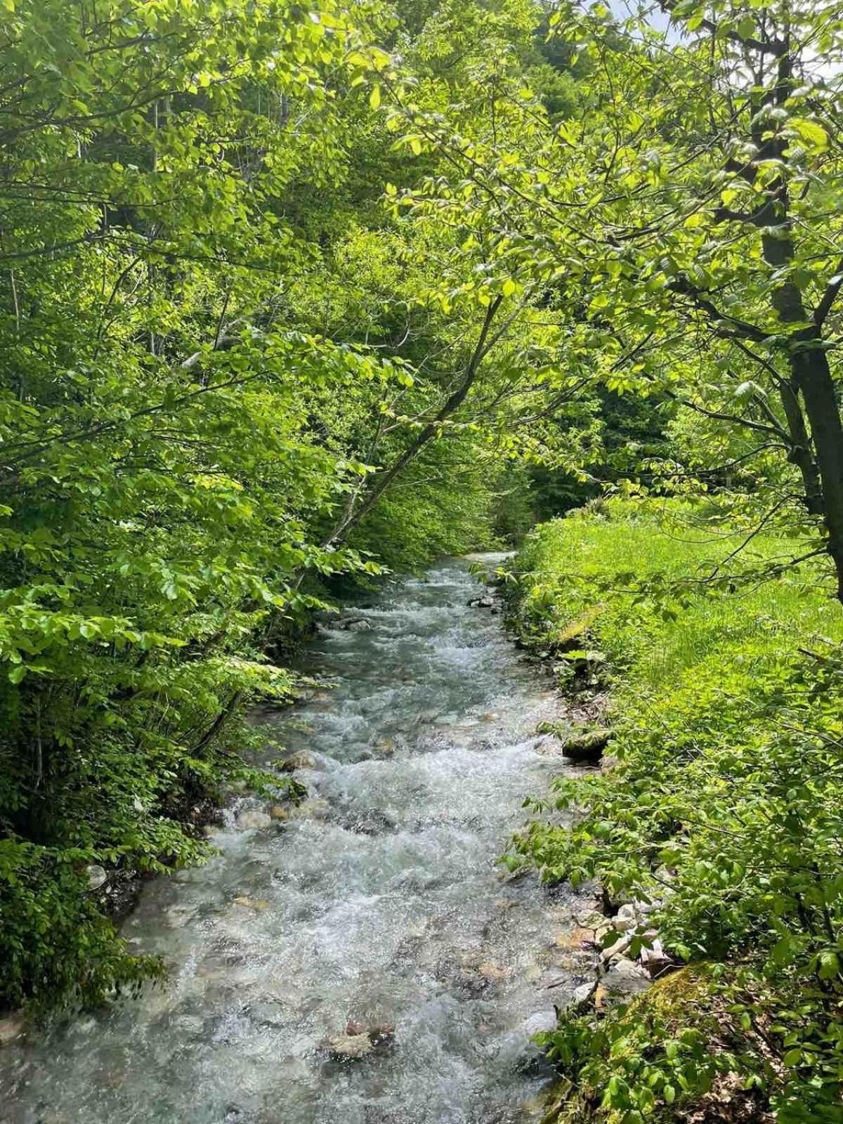 Villa Rivus - Private Family Retreat near Sarajevo