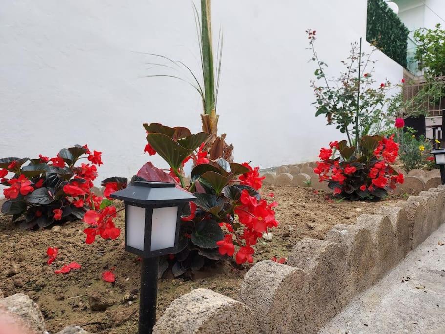 Aggeliki's place detached home with yard/parking view 2
