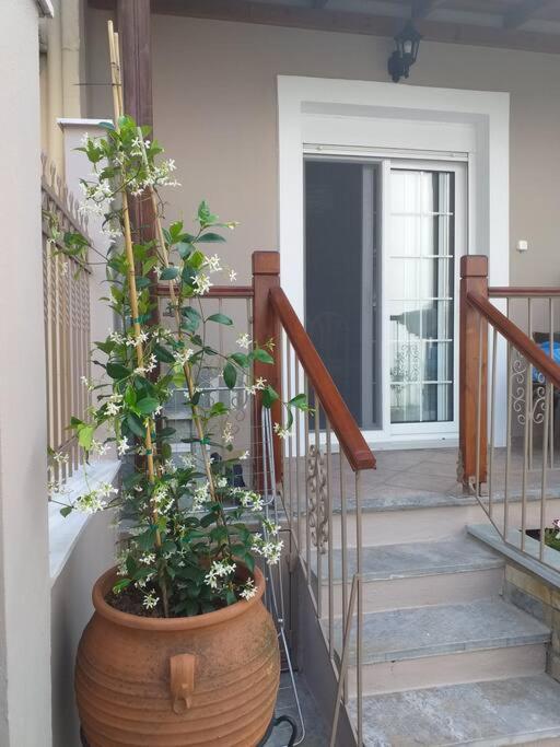 Aggeliki's place detached home with yard/parking view 4