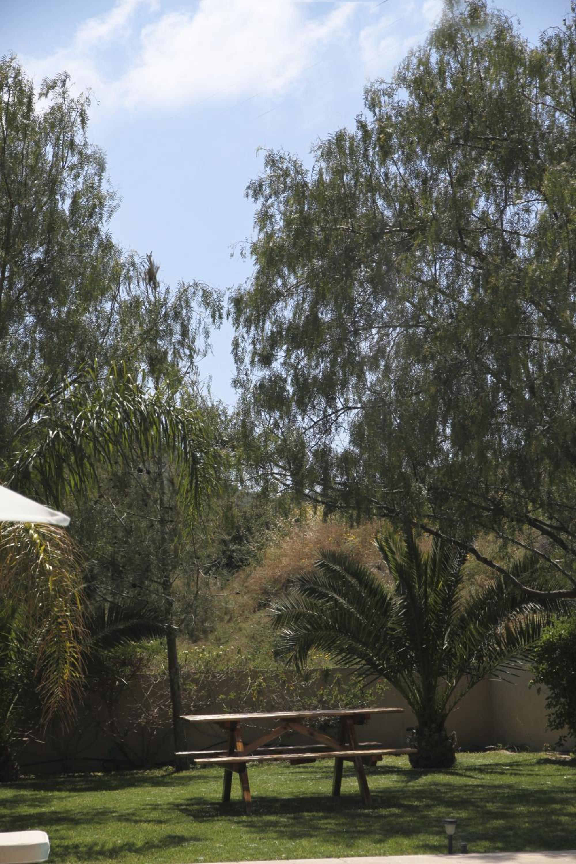 Eve Pissouri Rozaki Villa