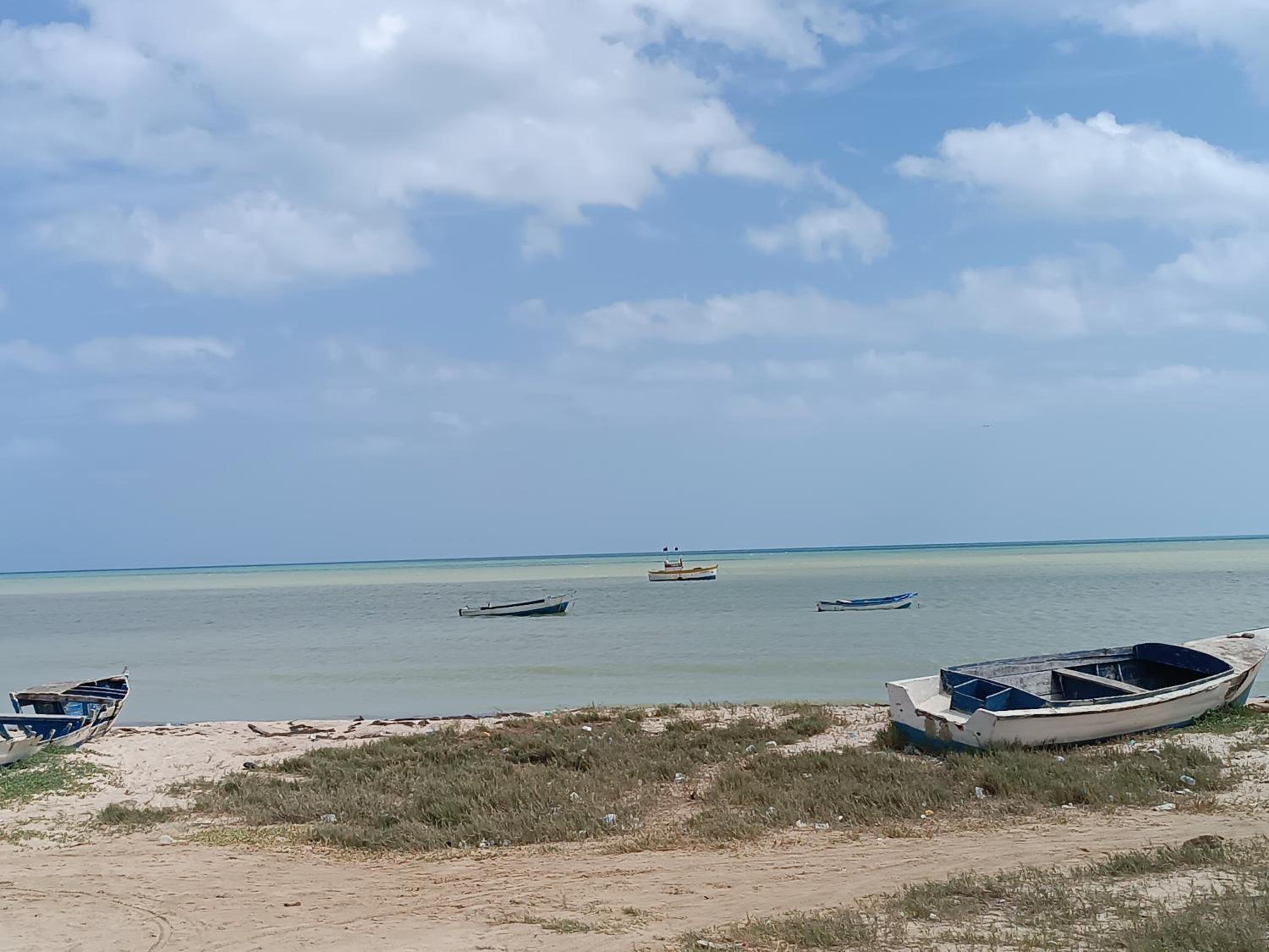Del Mar Vendra
