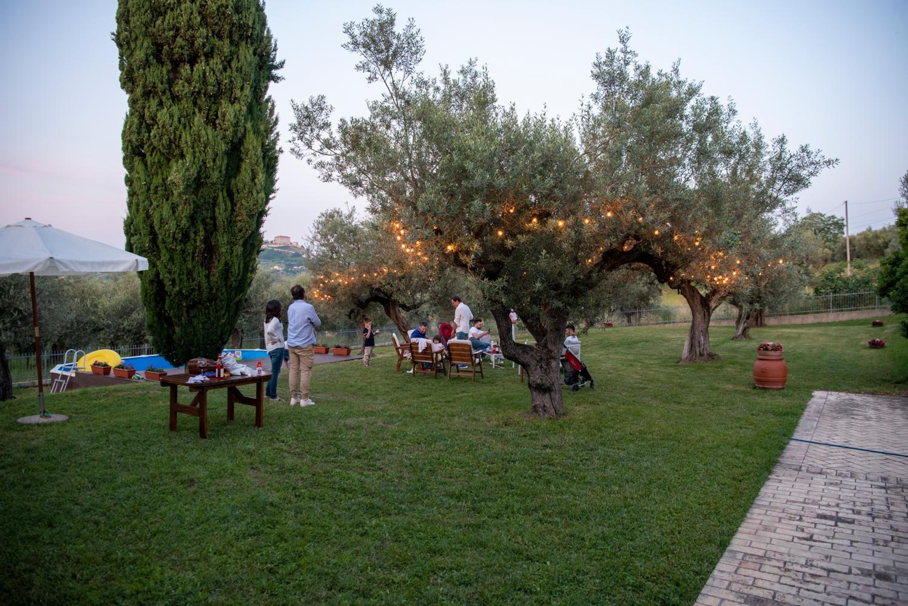 Photo 41