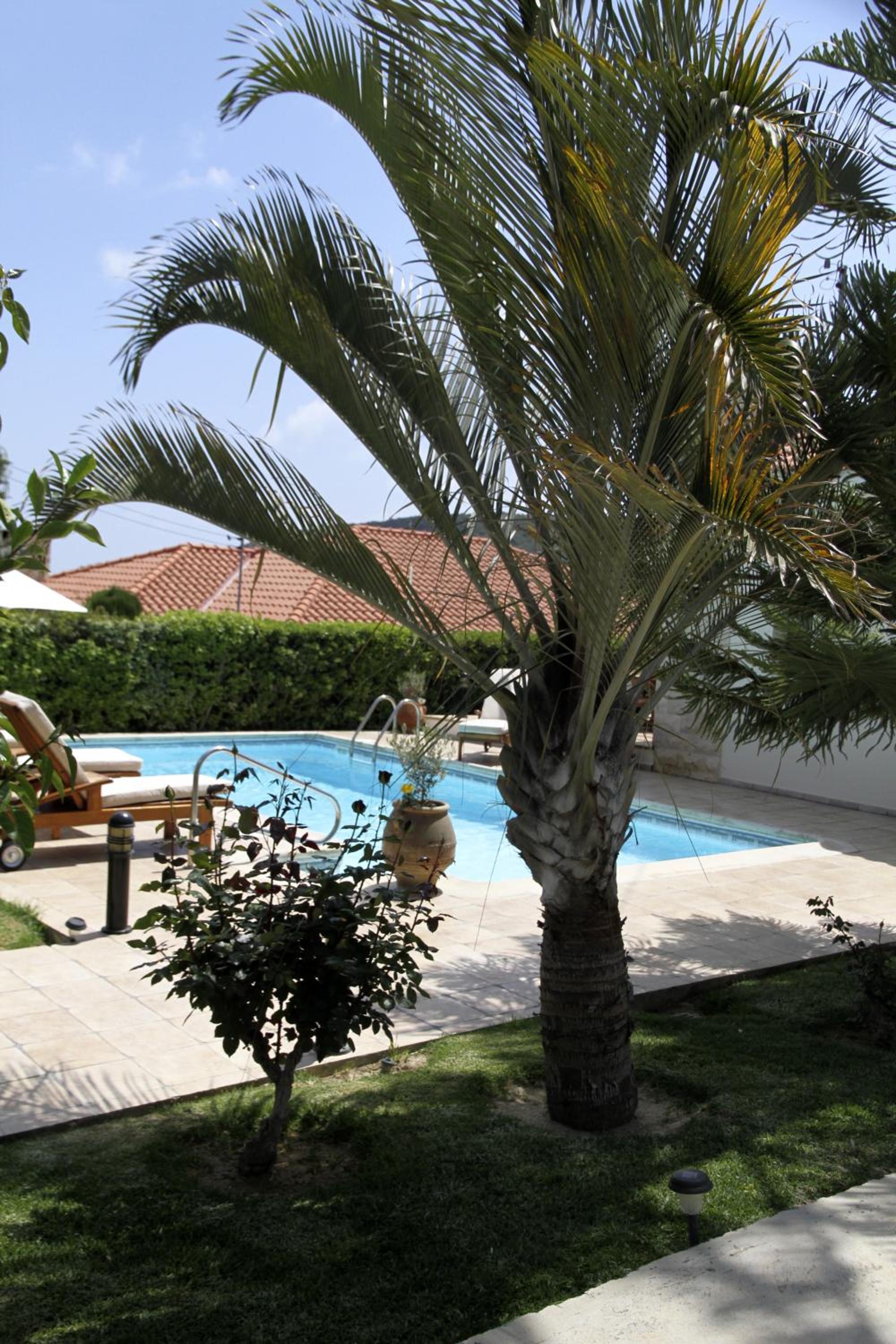 Eve Pissouri Veriko Villa