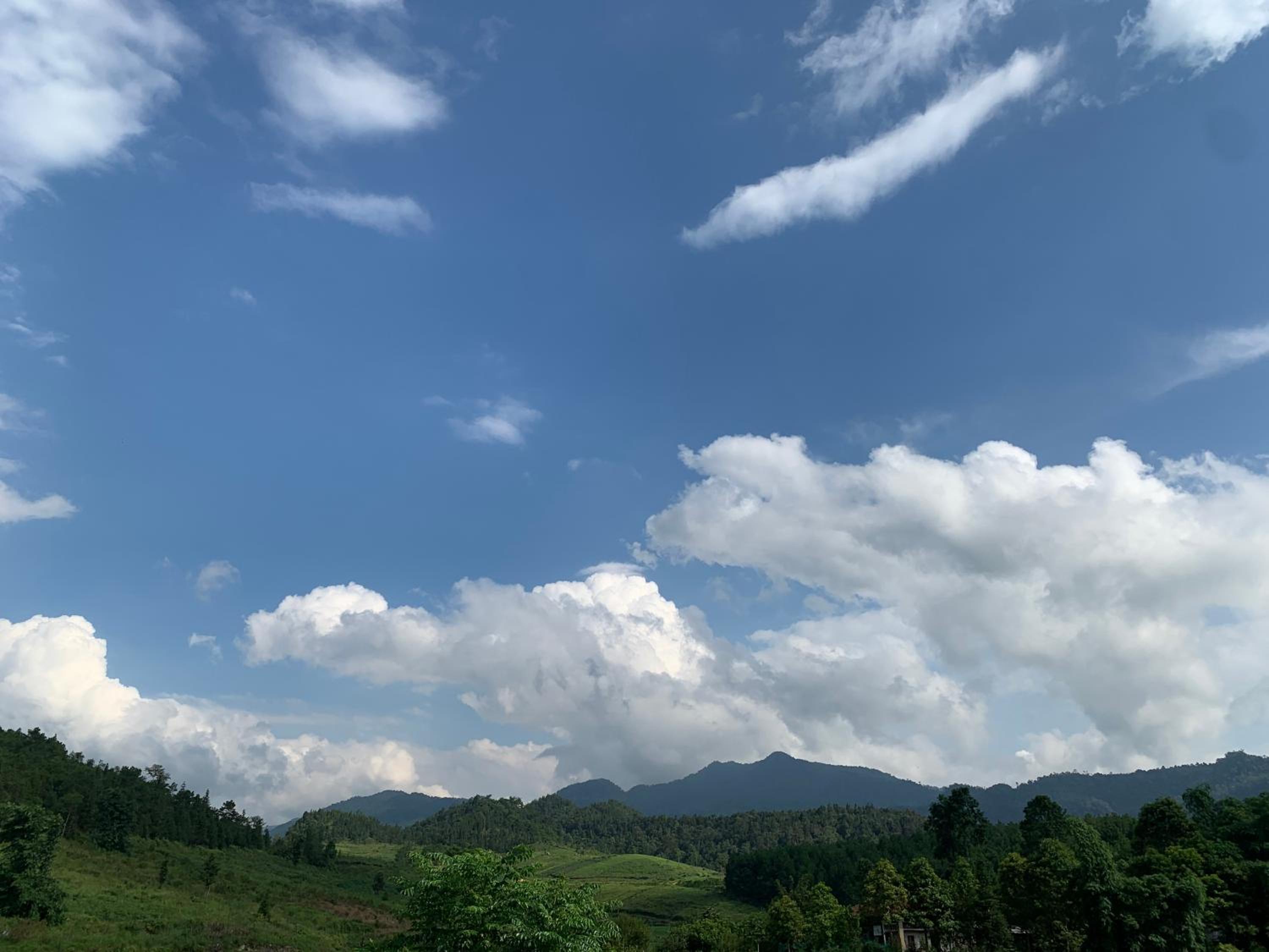 Hoàng homestay