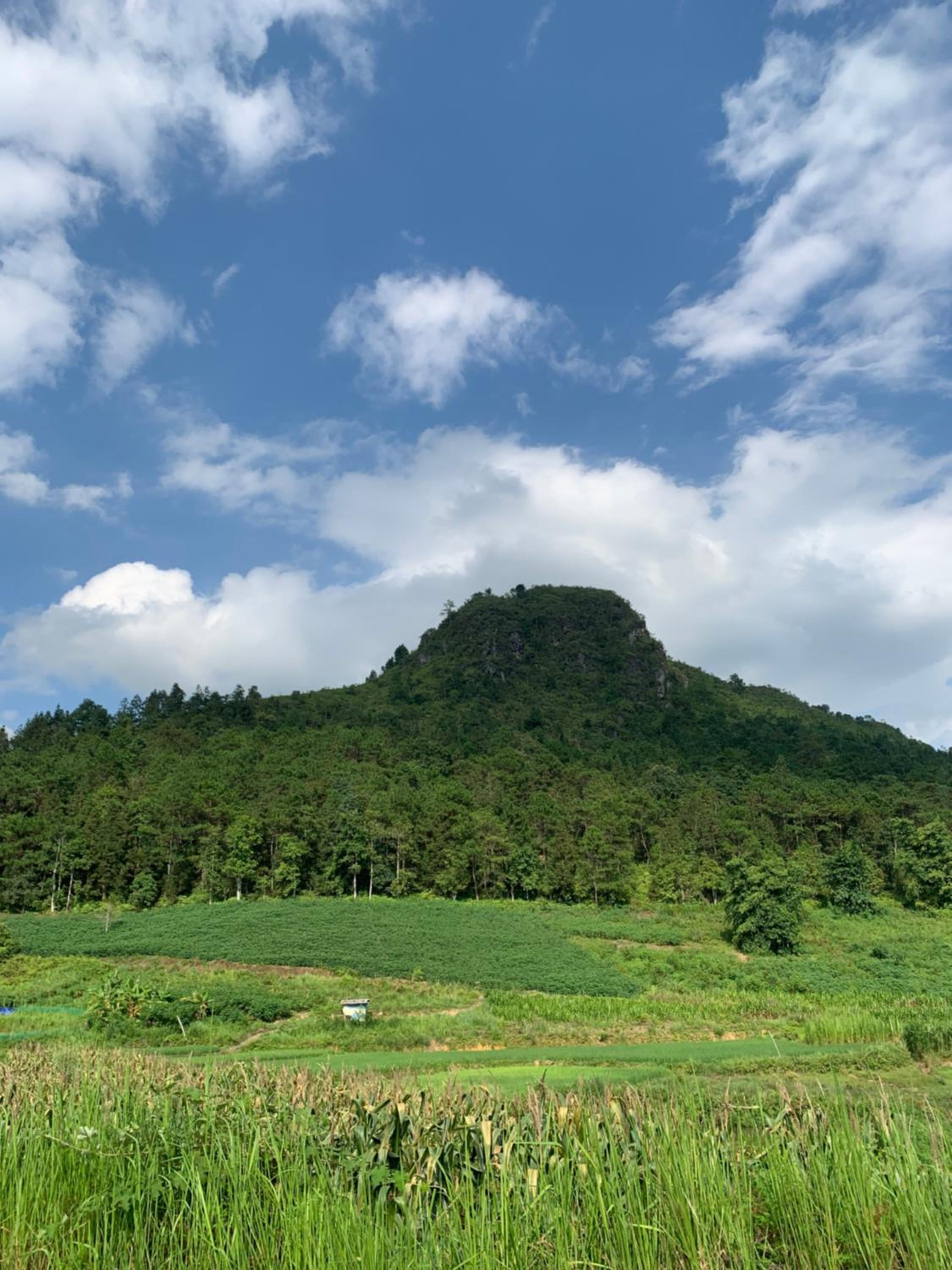 Hoàng homestay