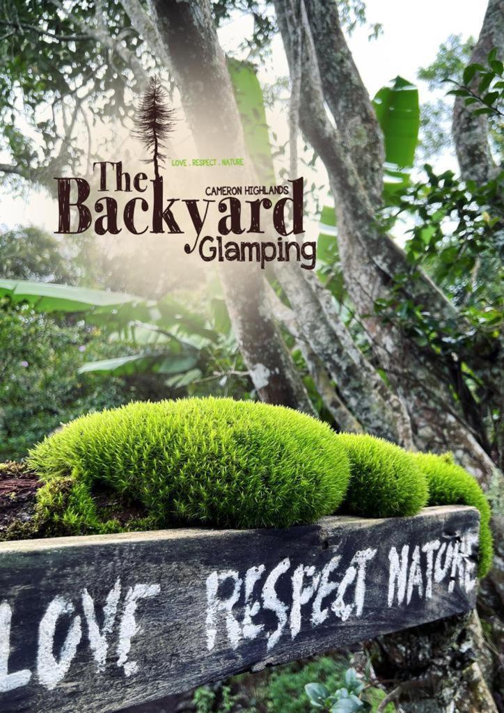 The Backyard Glamping Cameron Highlands