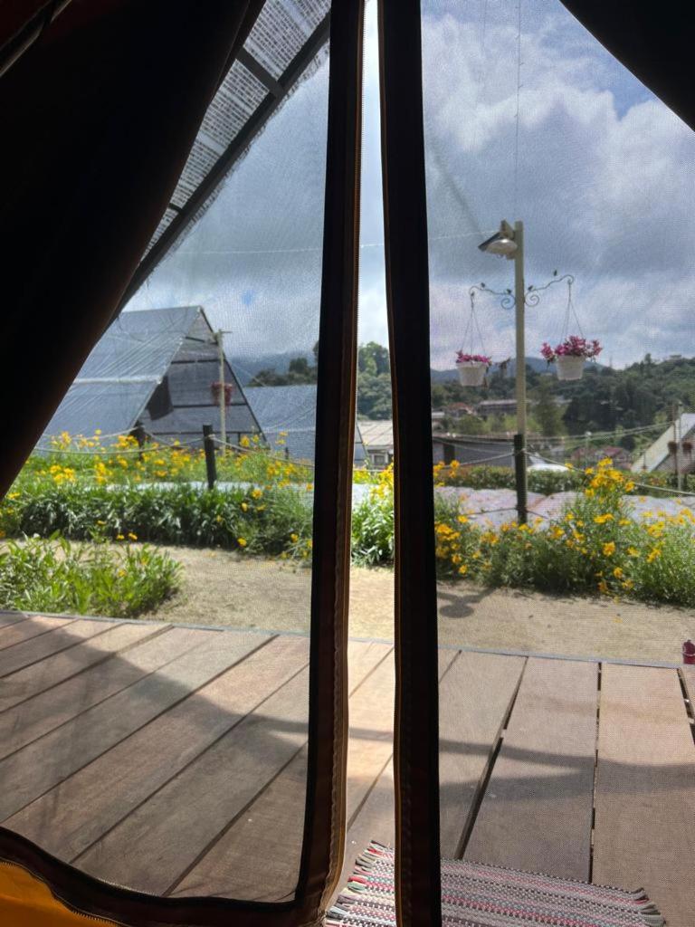 The Backyard Glamping Cameron Highlands