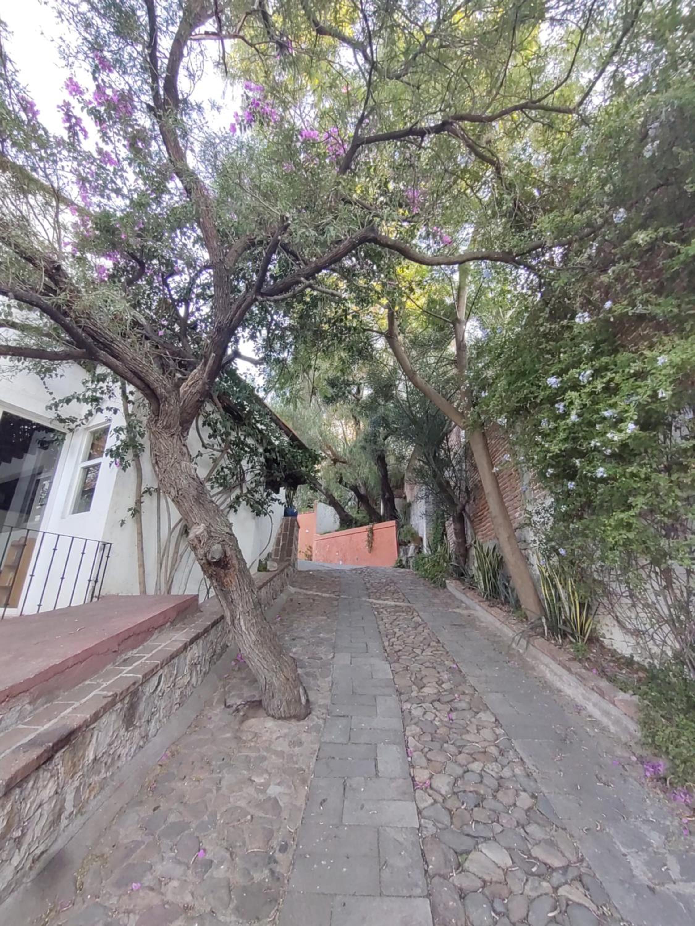 Laica House view 3