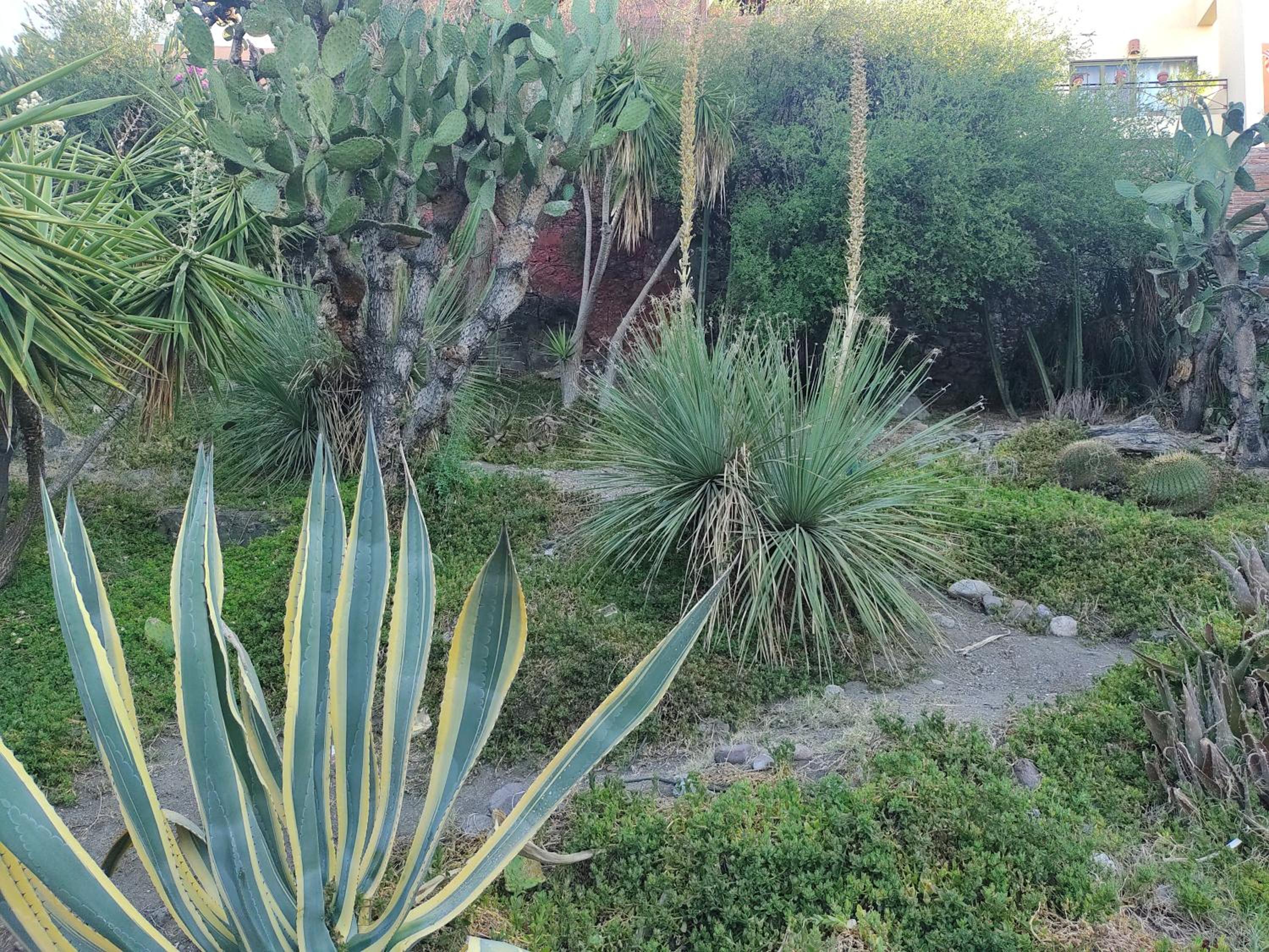 Photo 9