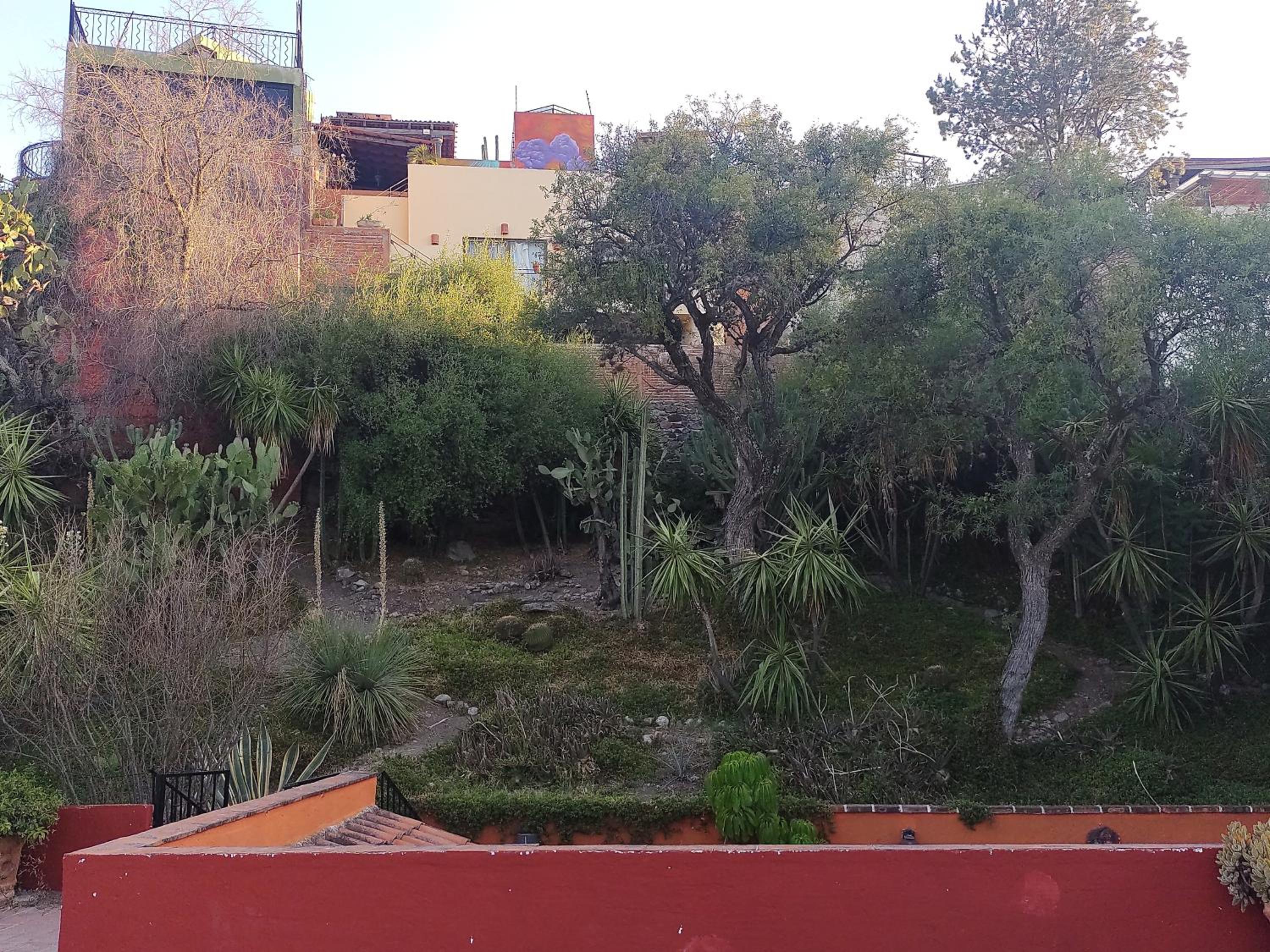 Photo 15