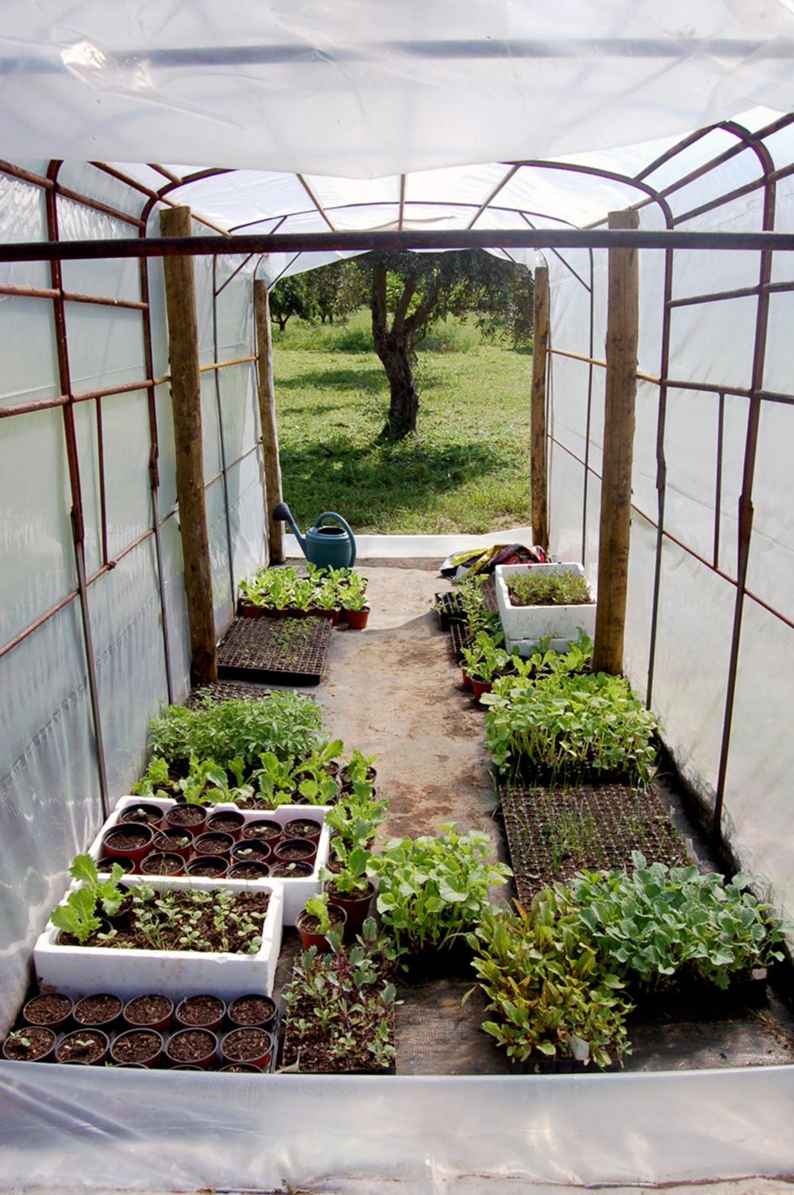 Photo 40
