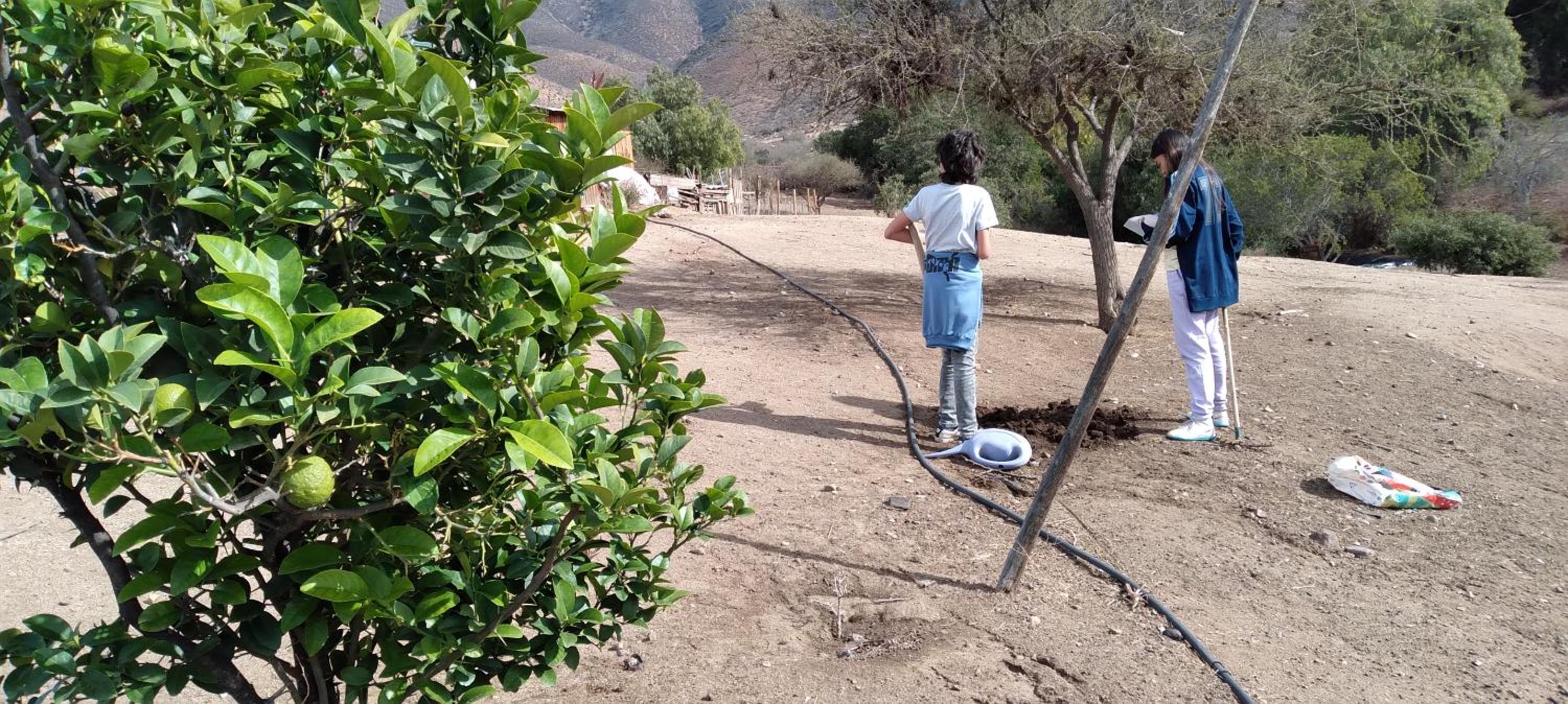 Alojamiento Rural Polita, Agroturismo y Patrimonial