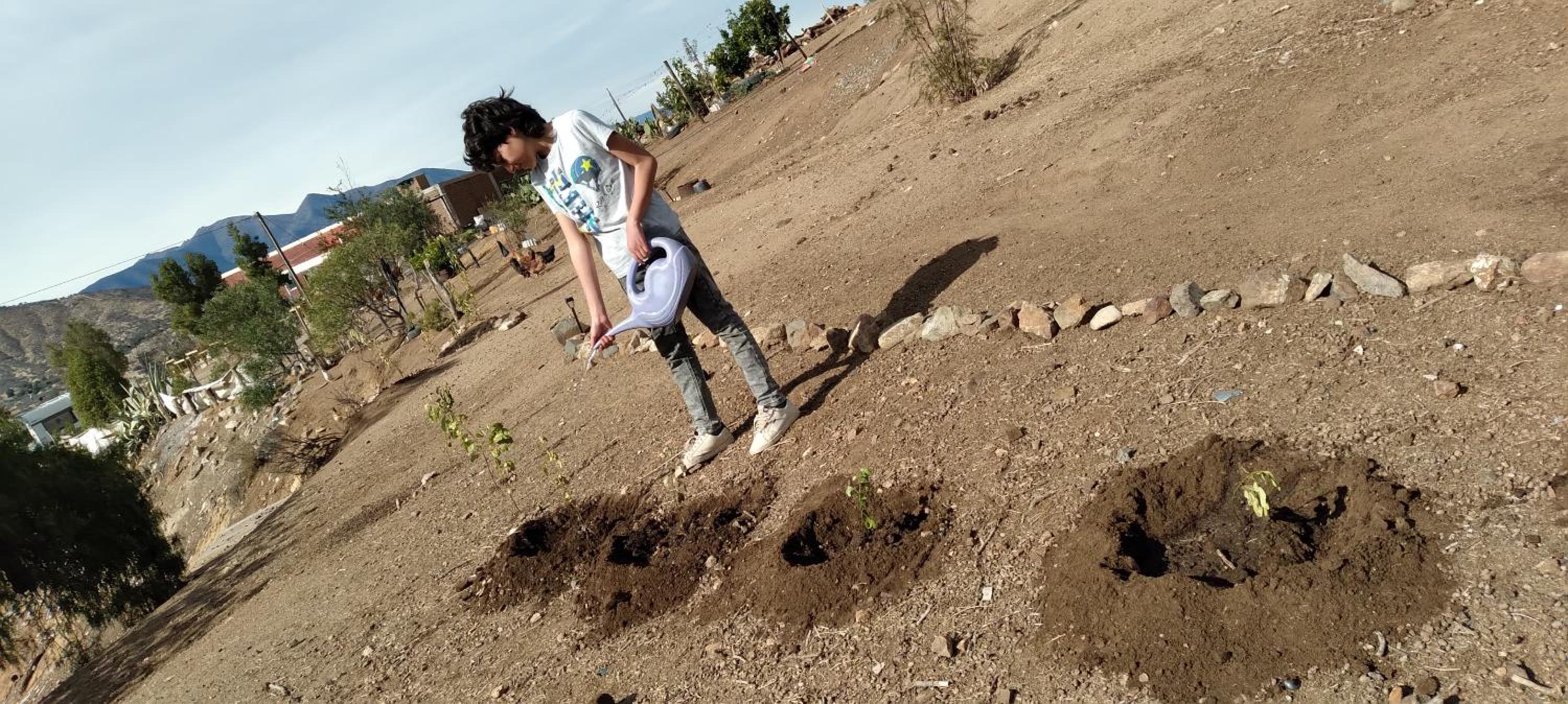 Alojamiento Rural Polita, Agroturismo y Patrimonial