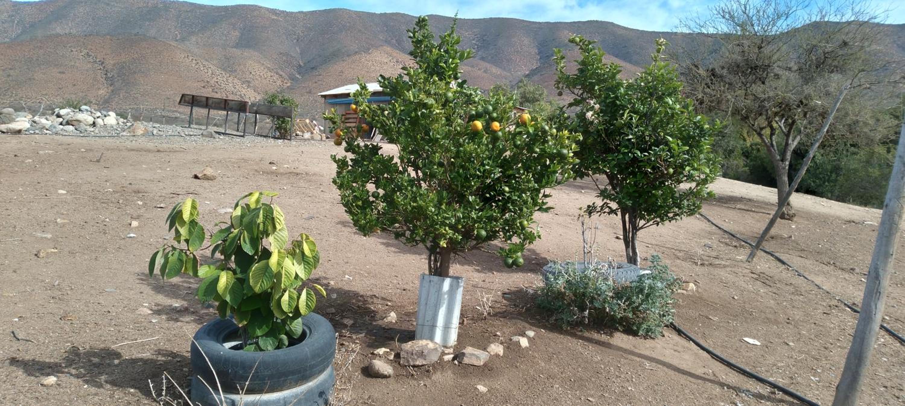 Alojamiento Rural Polita, Agroturismo y Patrimonial