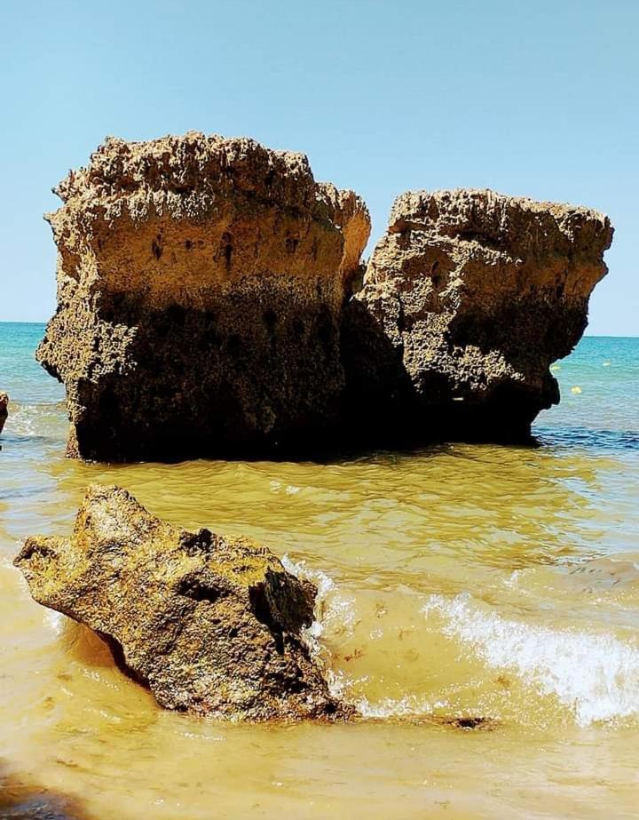 Vila da Mesa view 4