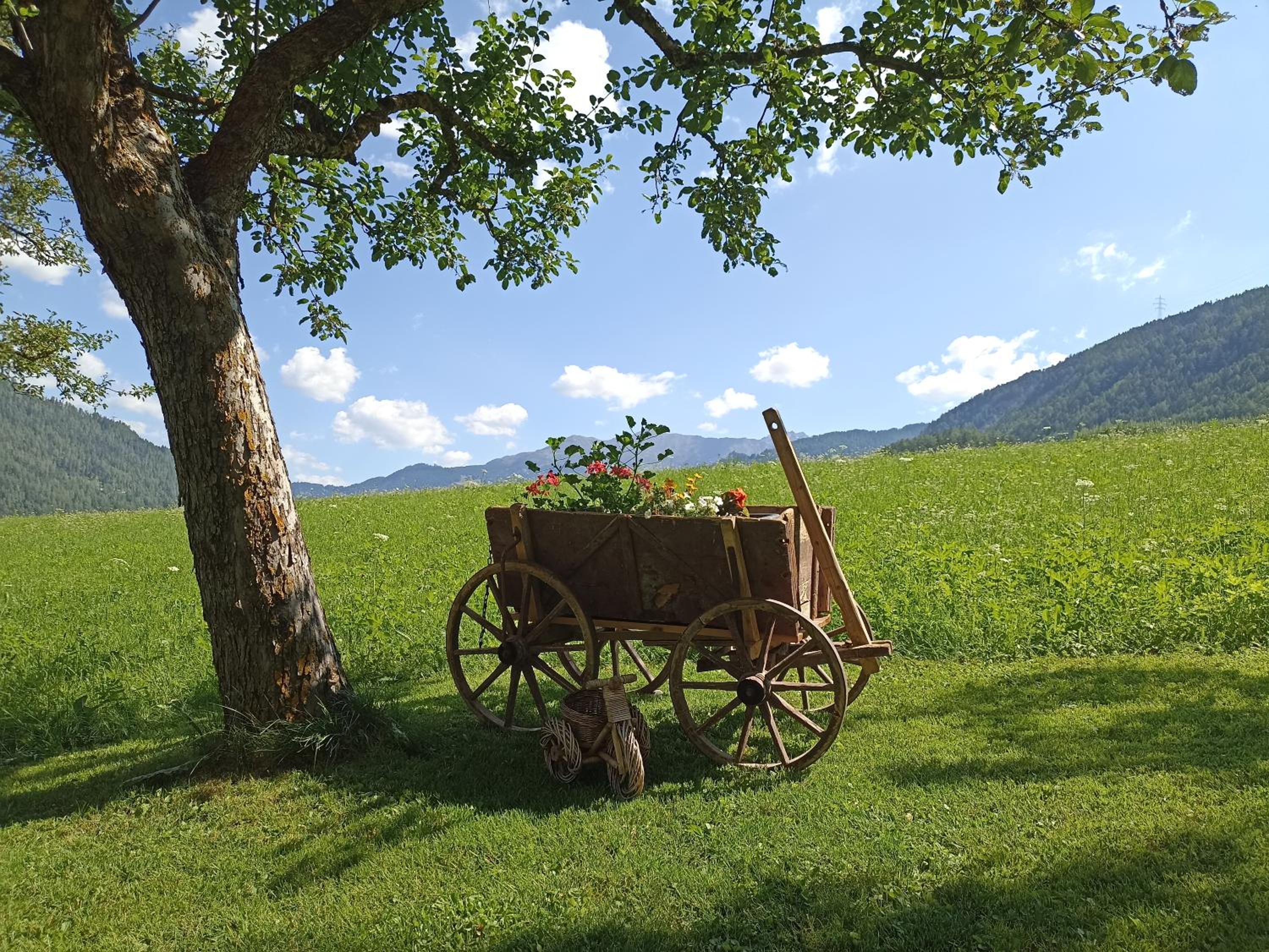 Haus zur Mühle view 3