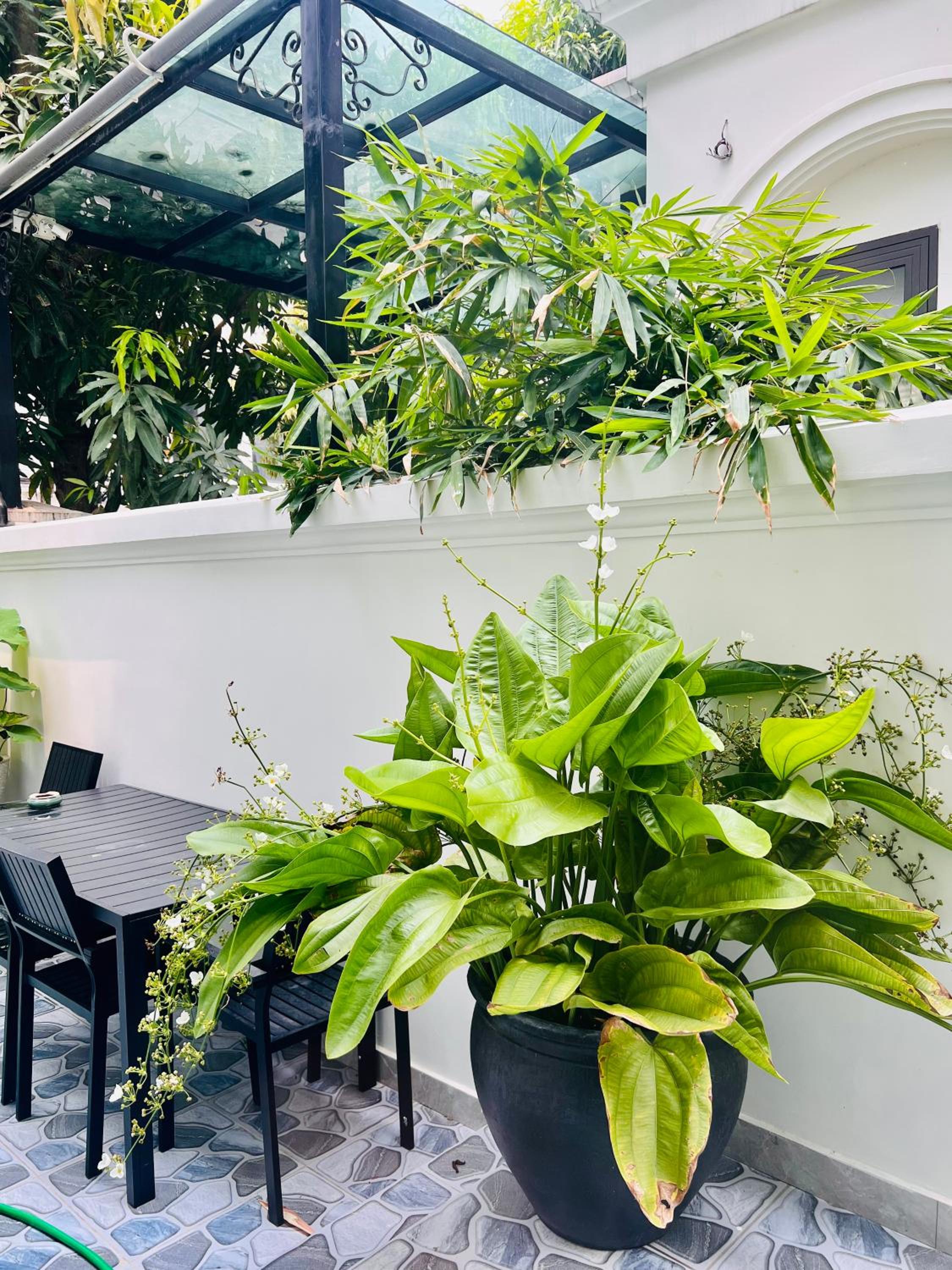 HungChu's Villa Vinhome Ocean Park