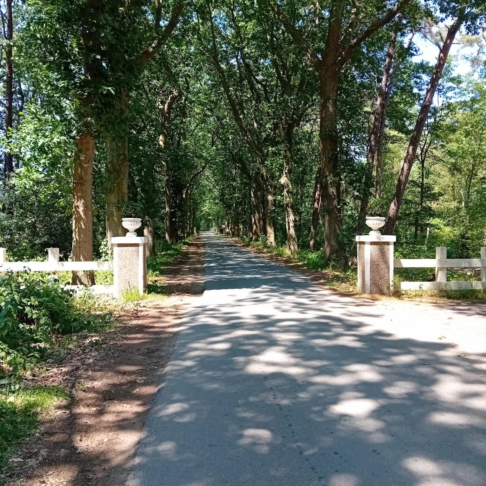 Photo 18