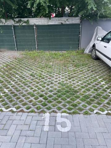 Photo 32