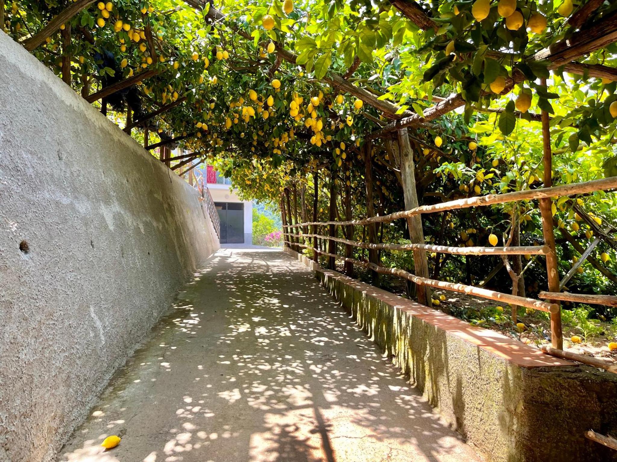 Tenuta Donna Giovanna